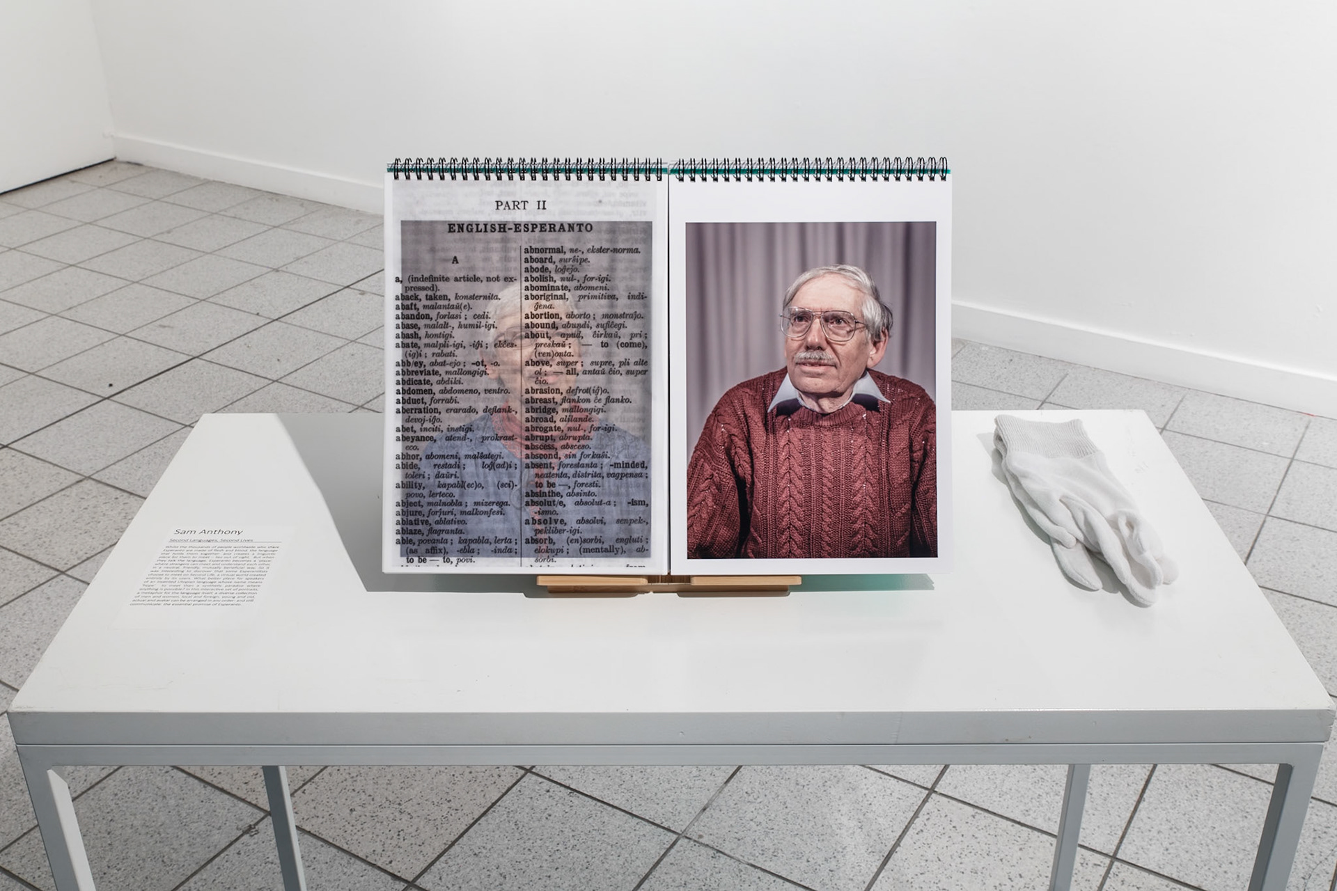 Sam Anthony, 'The Esperantists', 2017, University of Westminster