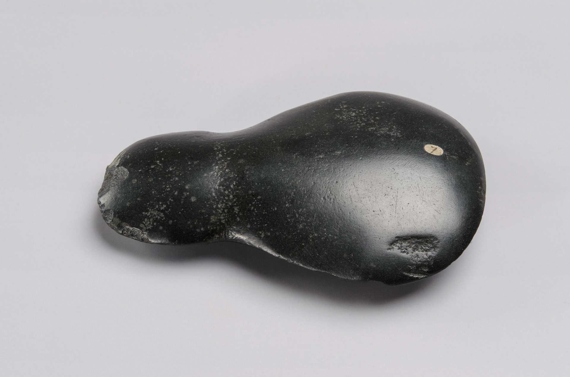 E-17-7, basalt axe blade, collected by William Dampier from New Britain in March 1700, © Sedgwick Museum of Earth Sciences, University of Cambridge