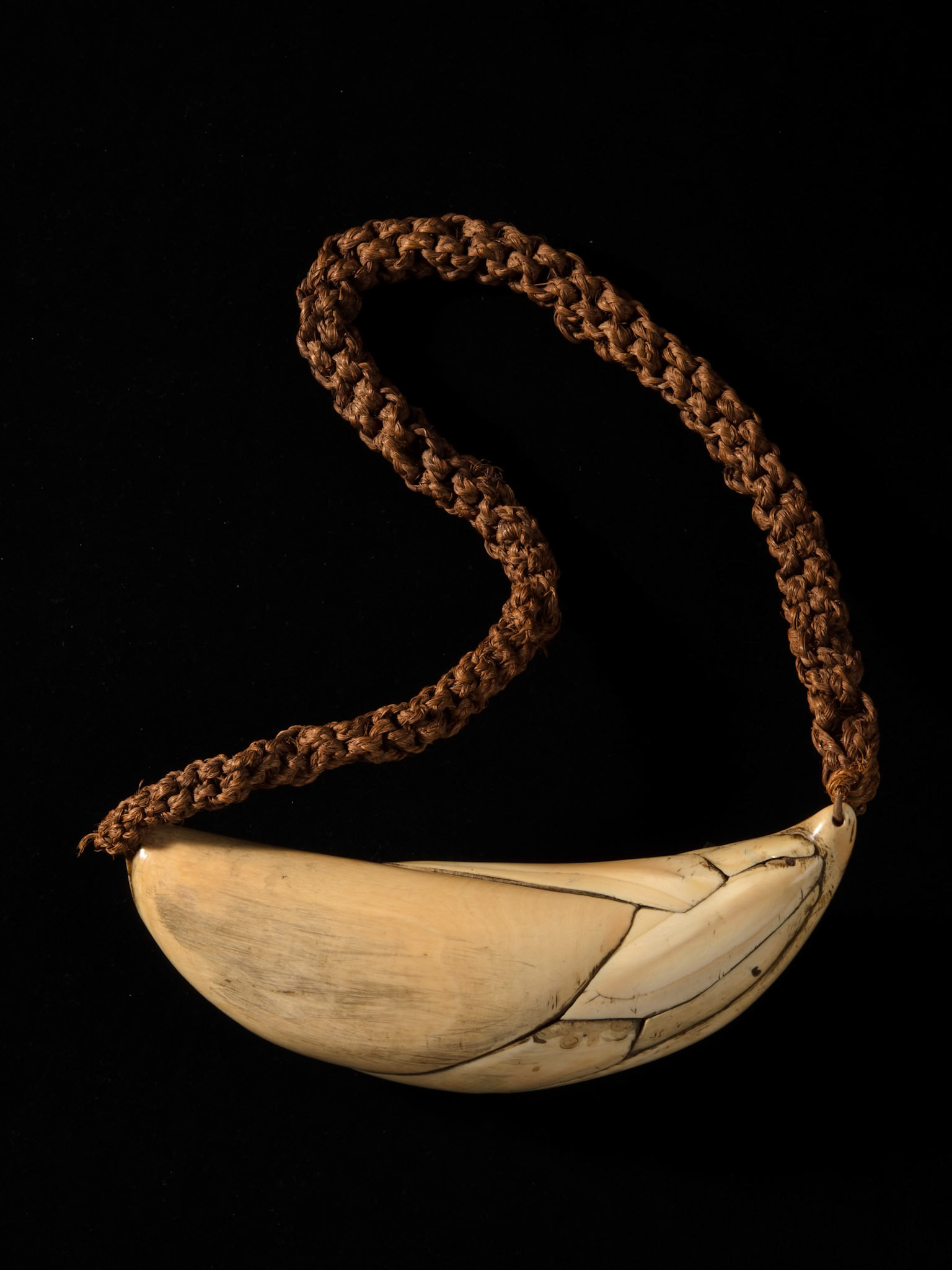 1936.380, sperm whale tooth, Fiji, 19th century, © Museum of Archaeology and Anthropology, University of Cambridge