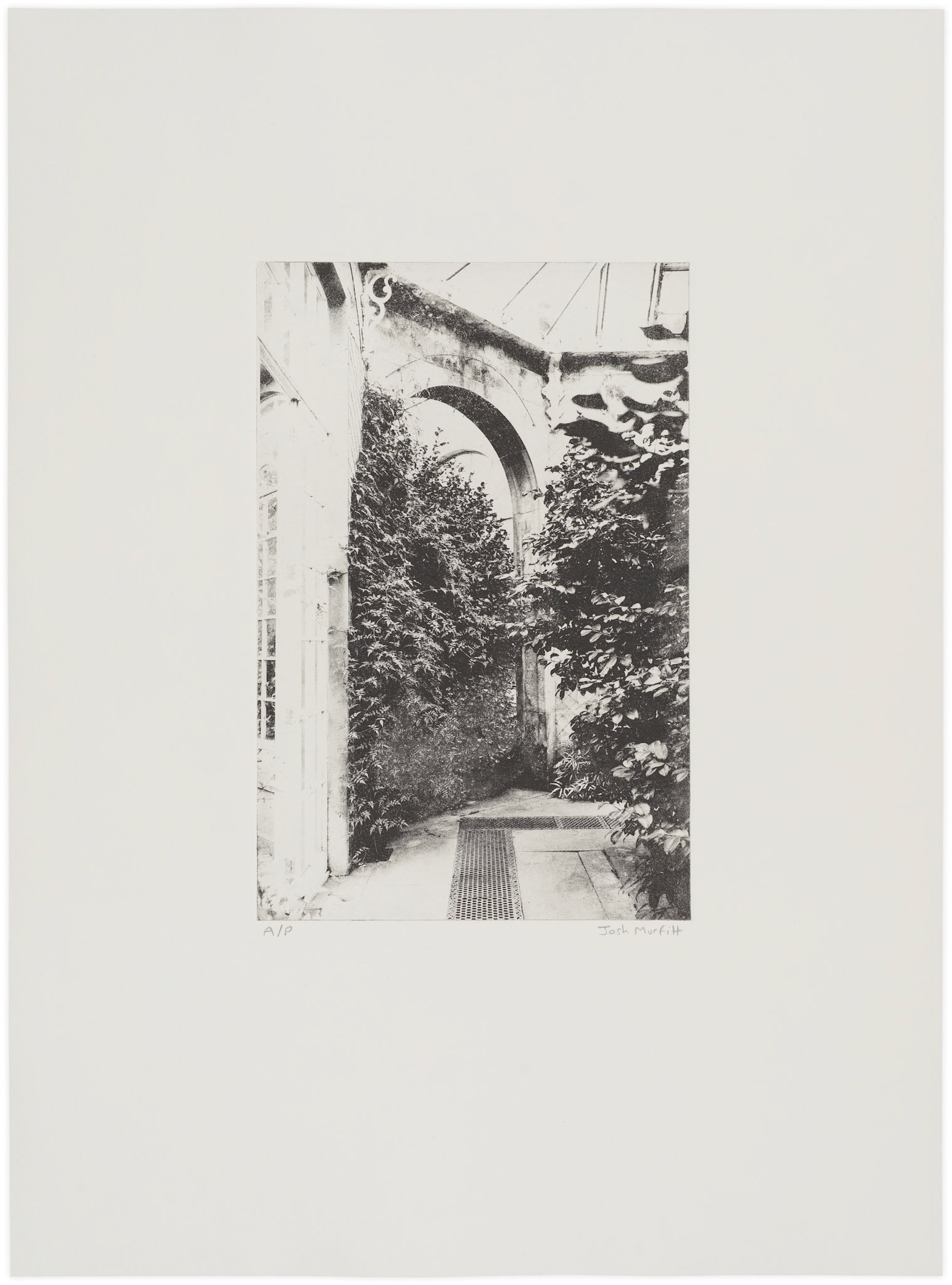 'Camellia House', open edition, 28 x 38 cm