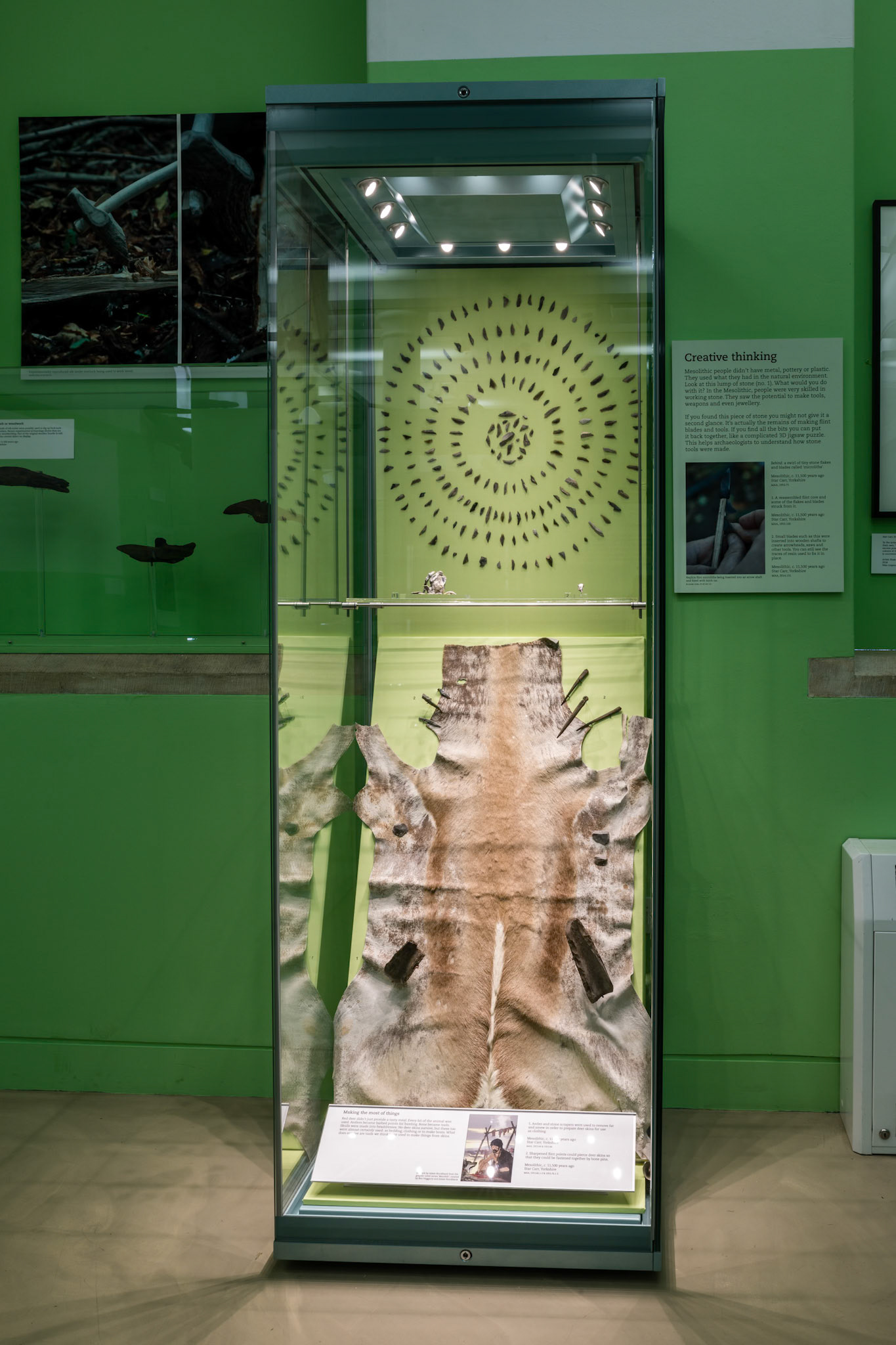 A Survival Story: Prehistoric Life at Star Carr, 2018, © Museum of Archaeology and Anthropology, University of Cambridge