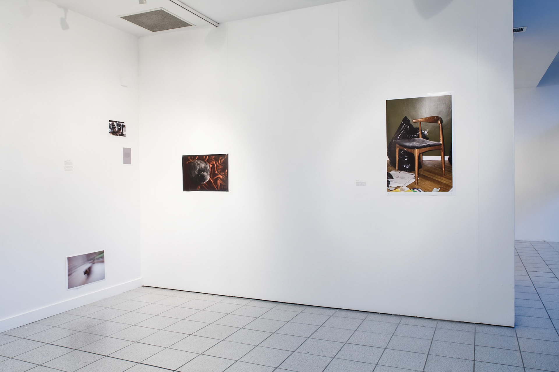 Works by Chiara Mac Call and Yue Hu, 2017, University of Westminster