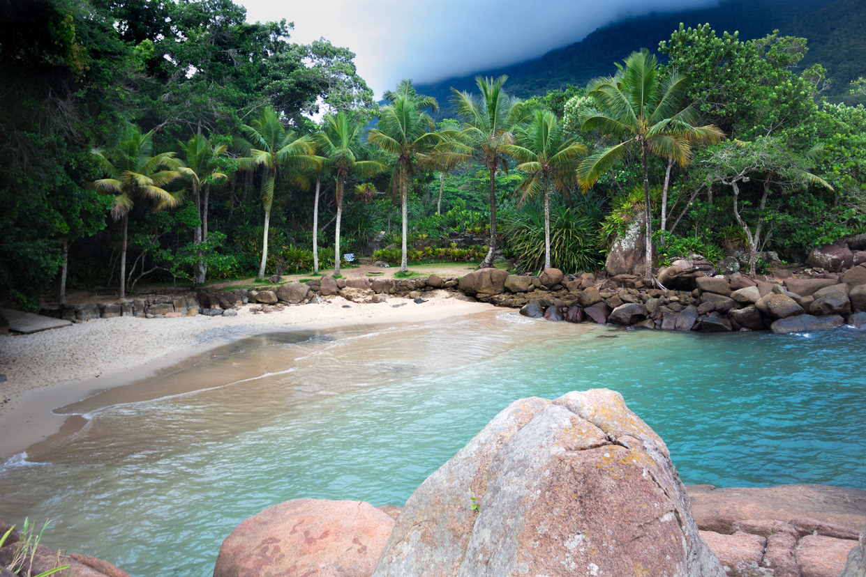 Praia do Português, Ubatuba