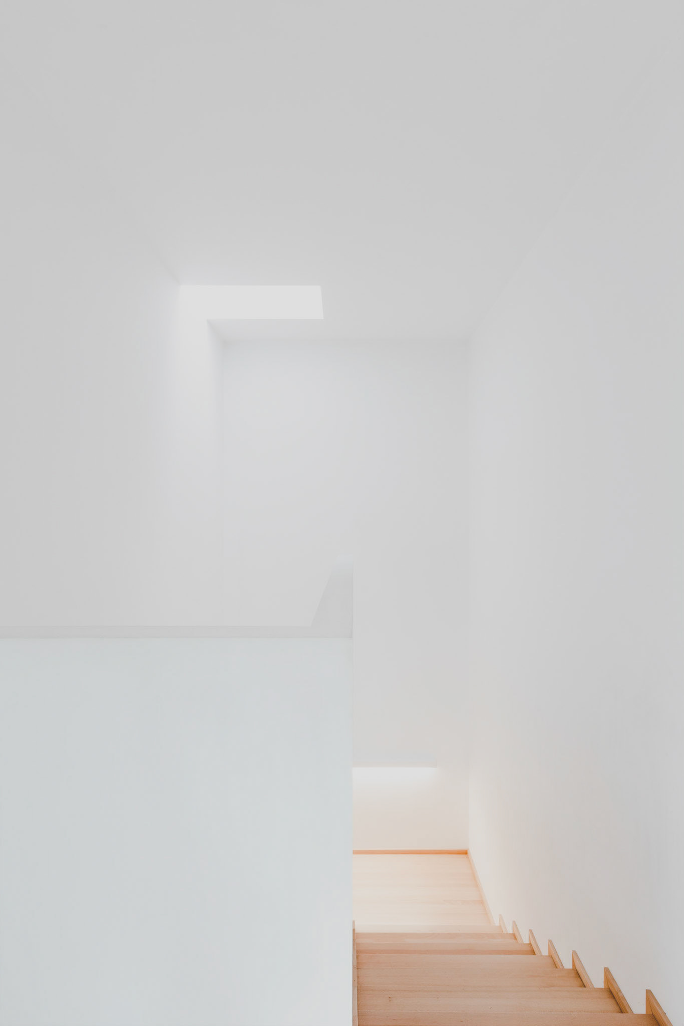 sesja zdjęciowa wnętrz poznań