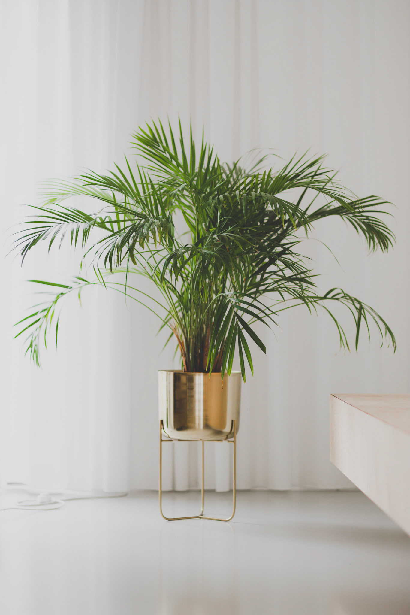 fotograf wnętrz poznań