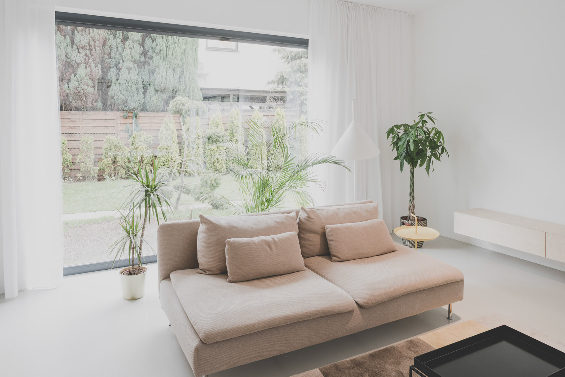 sesja fotograficzna w poznaniu