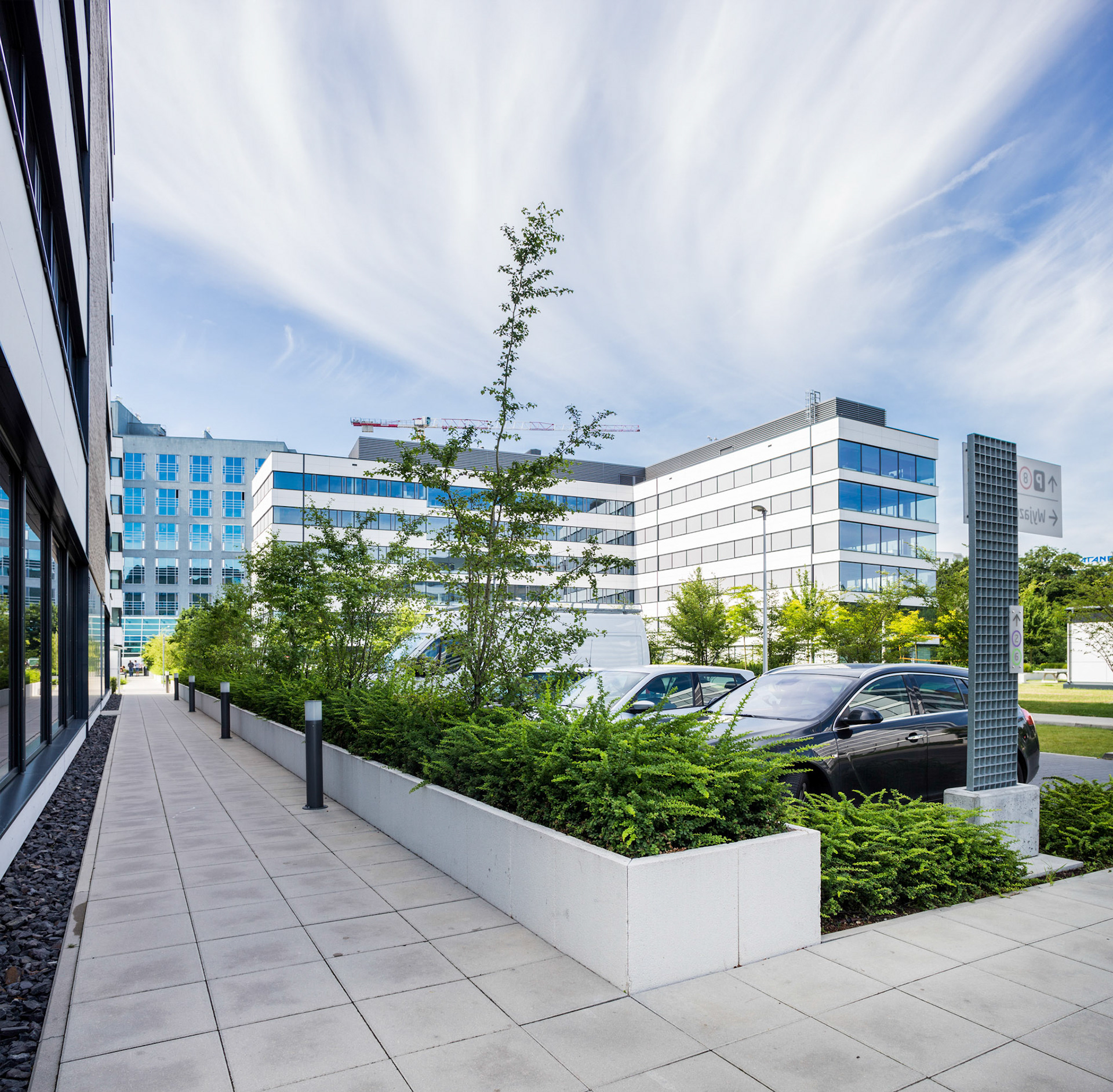 sesja fotograficzna deweloper poznań