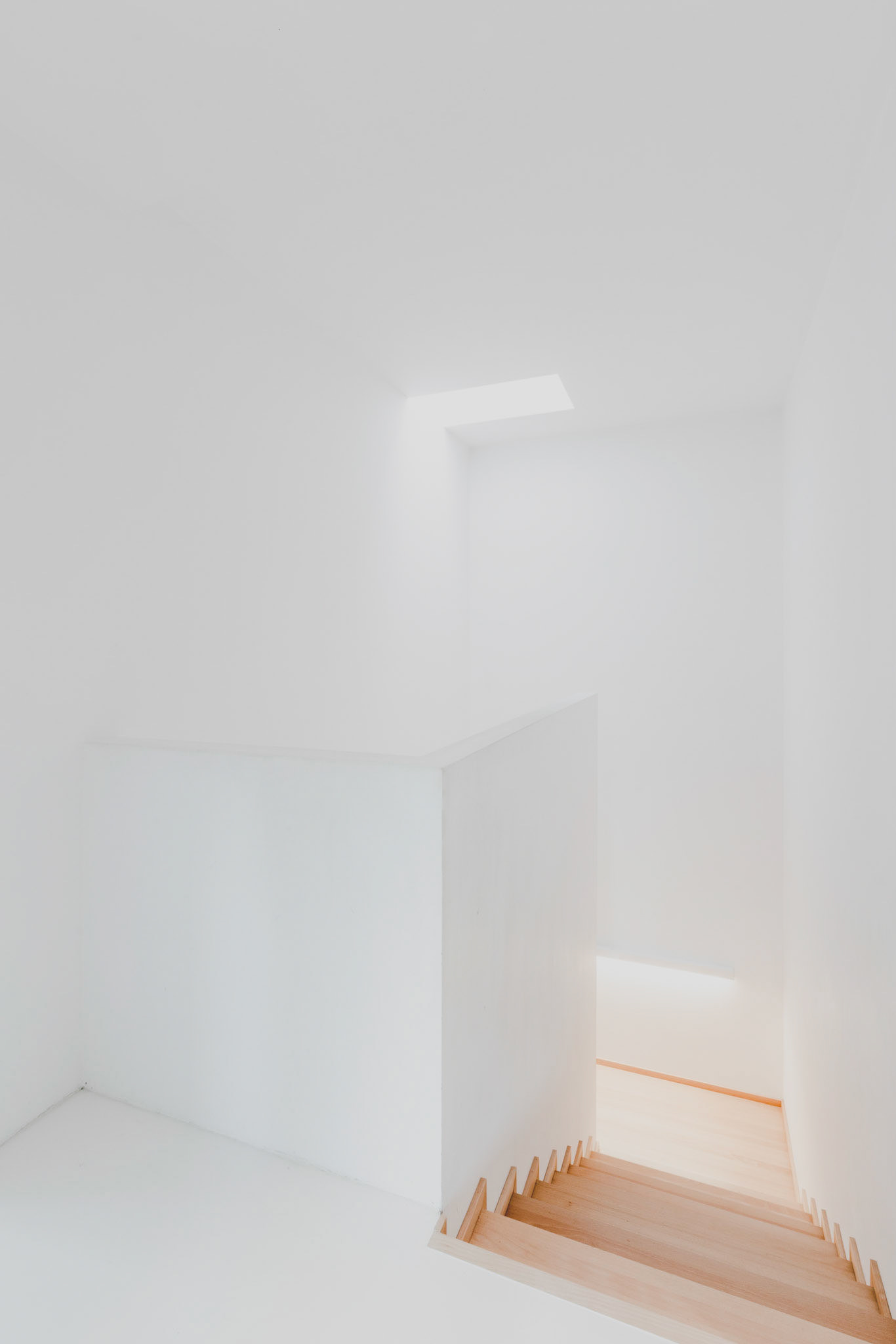 sesja fotograficzna poznań wnętrza