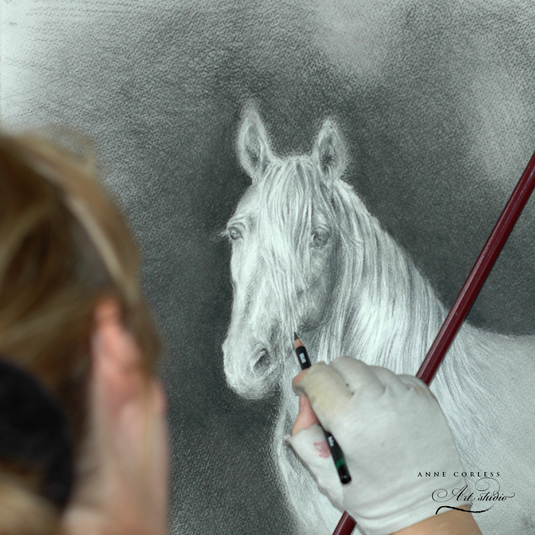 'Andalusian Perfection'; #derwentcharcoal