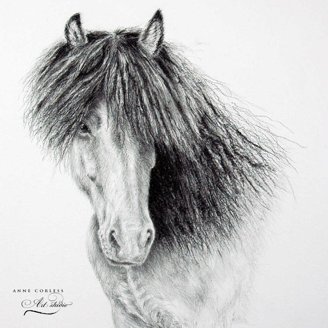 Charcoal drawing.