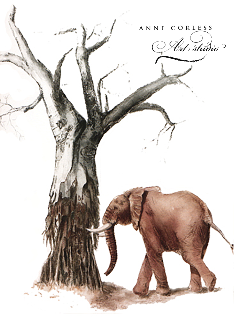 Baobab watercolour painting.