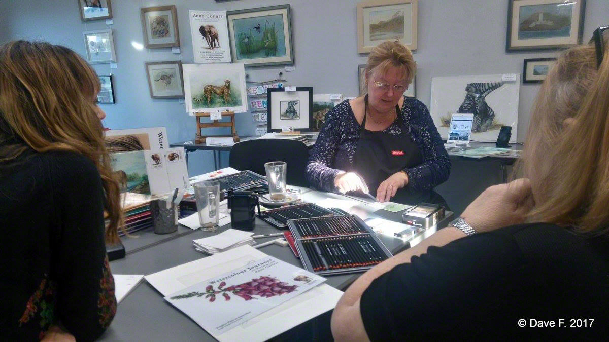 Teaching an animal art workshop.