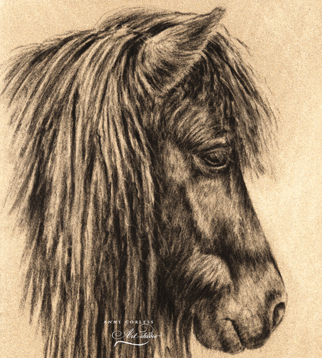 Charcoal drawing.