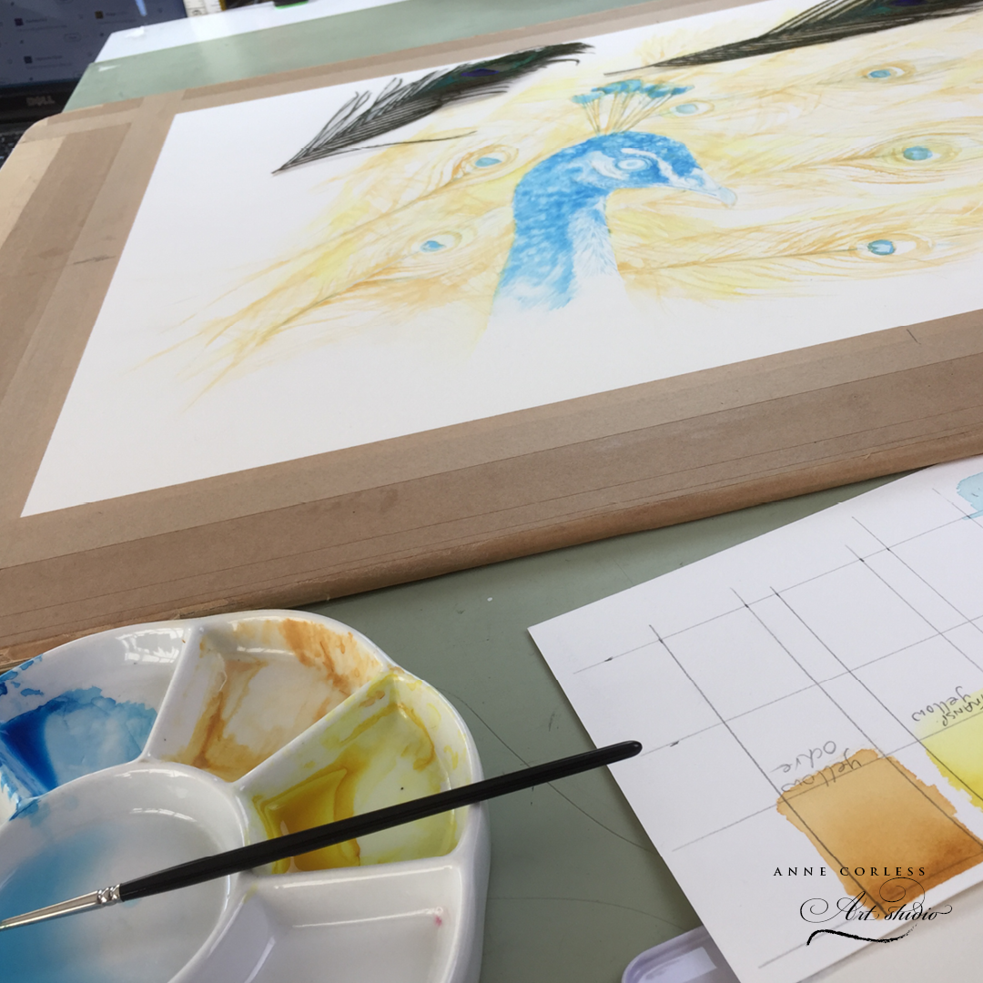 Peacock painting in watercolour.