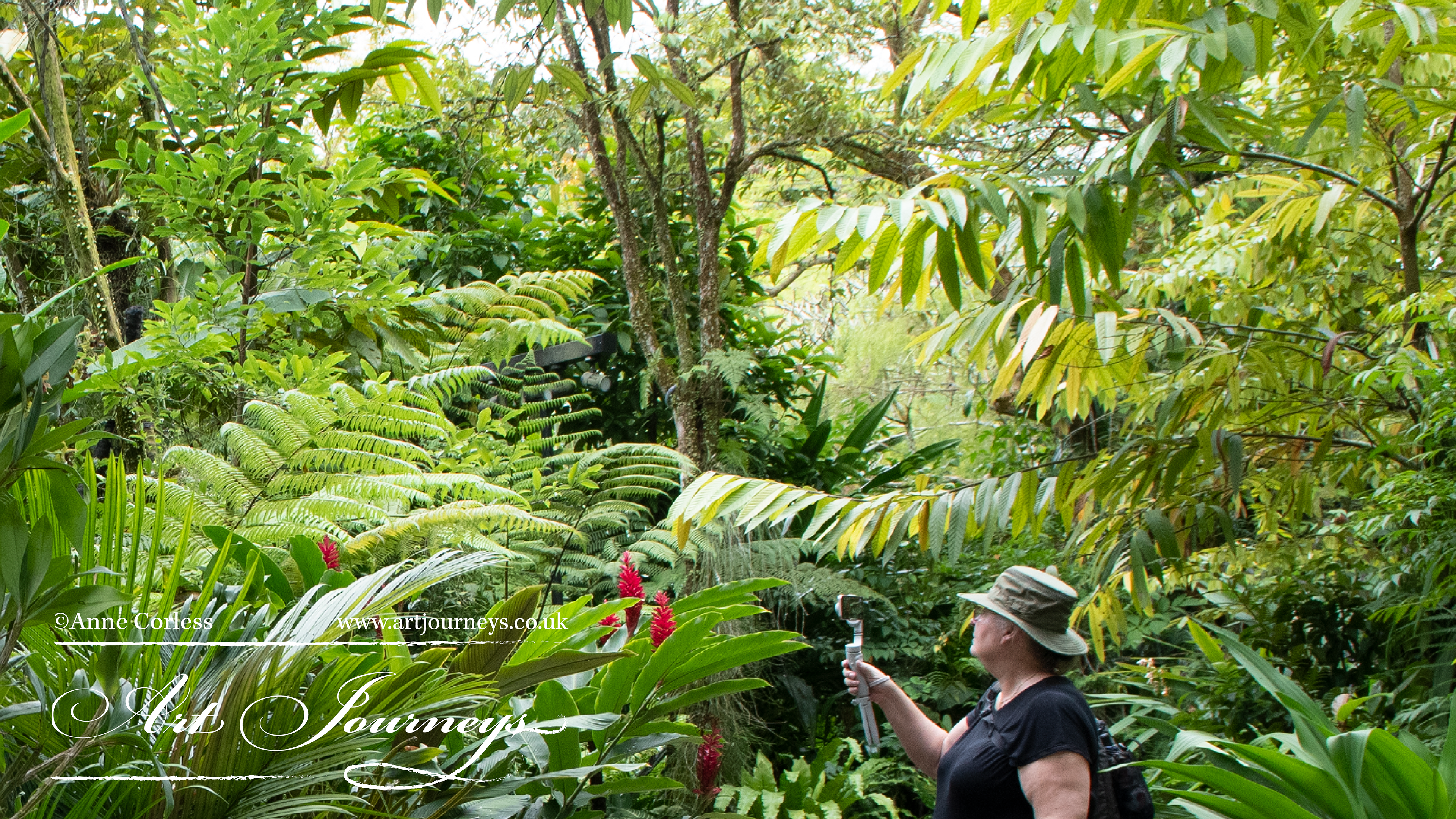 Botanical Gardens, Singapore. 2022.