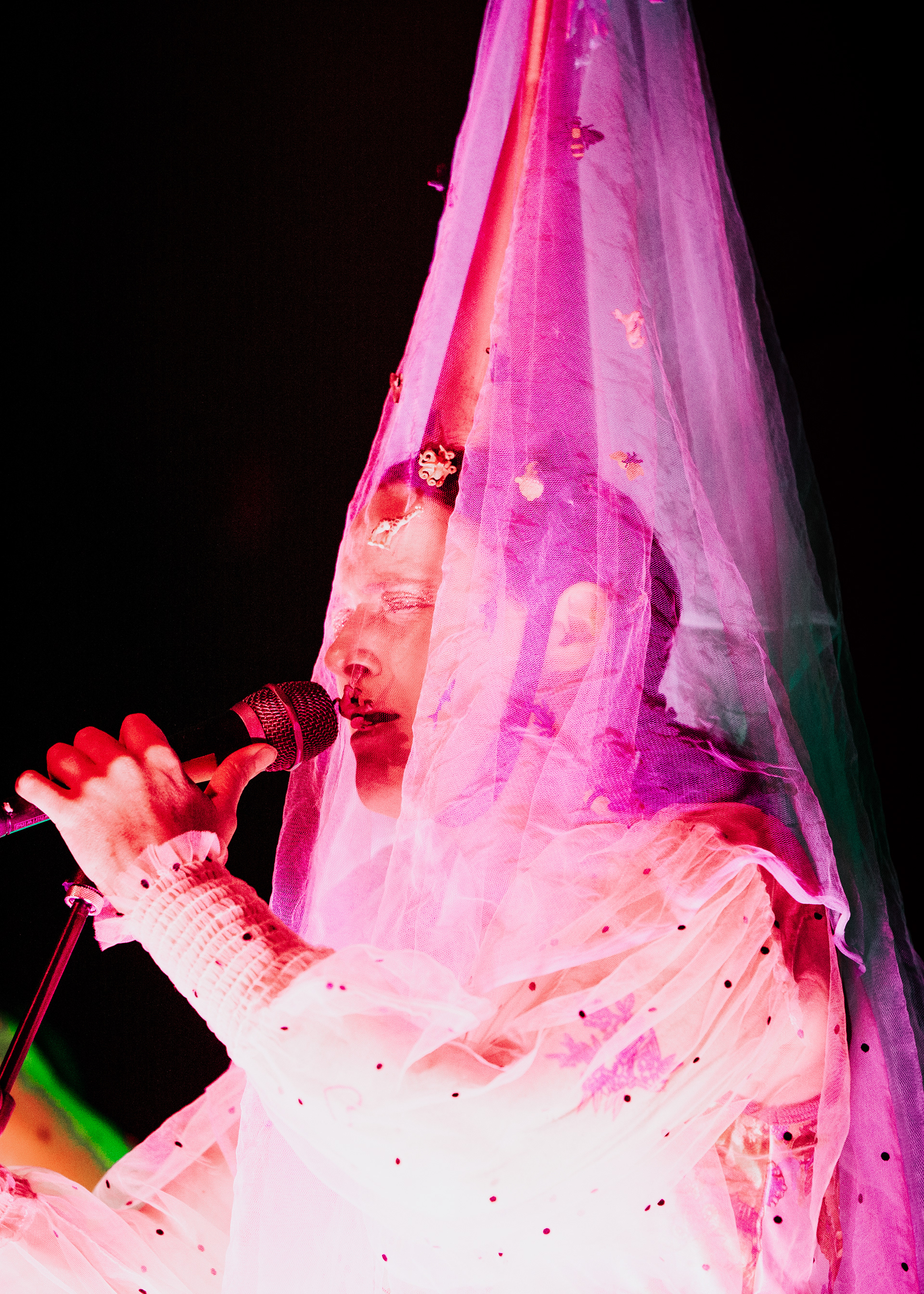 rubblebucket