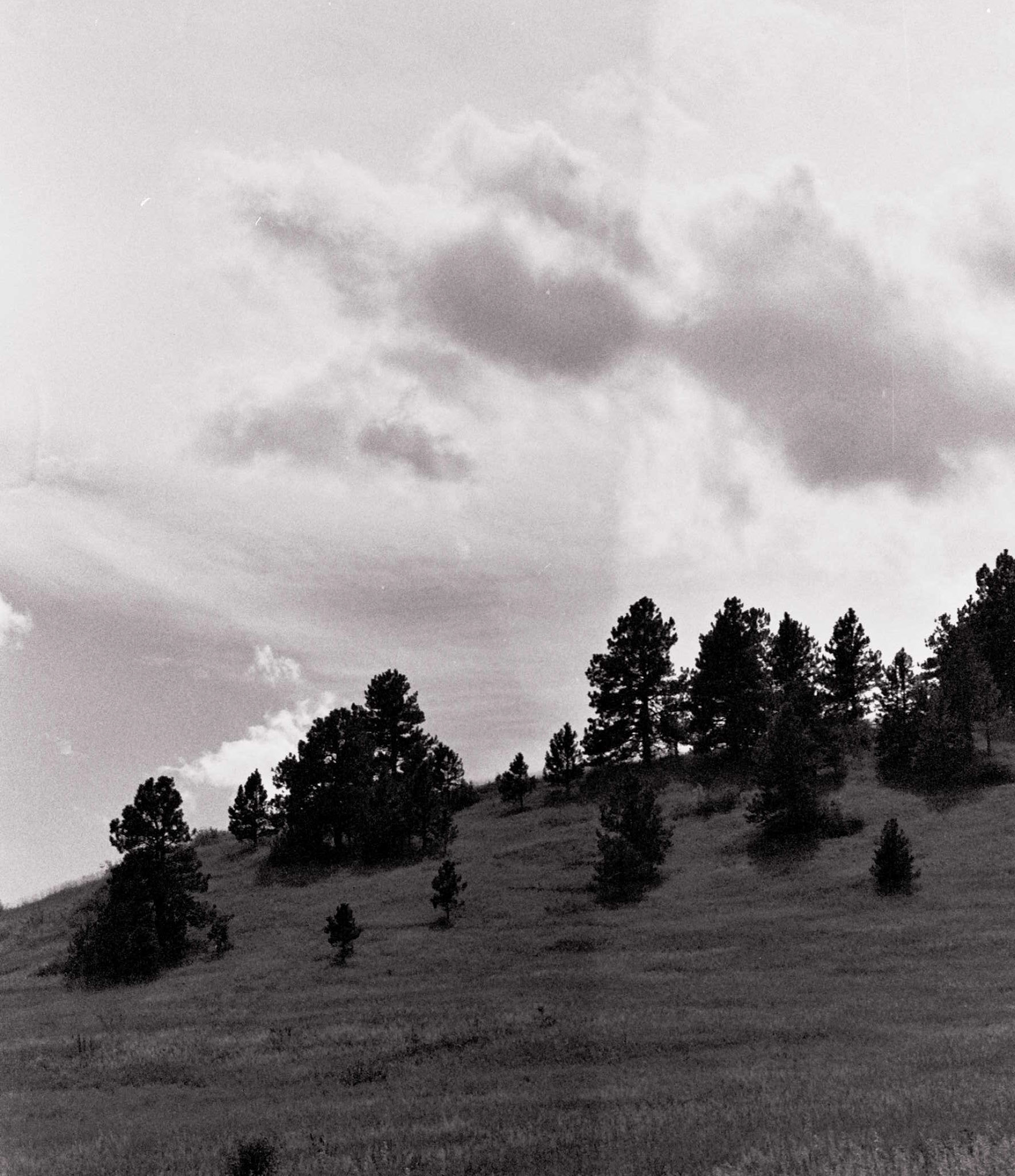 Autosave-File vom d-lab2/3 der AgfaPhoto GmbH