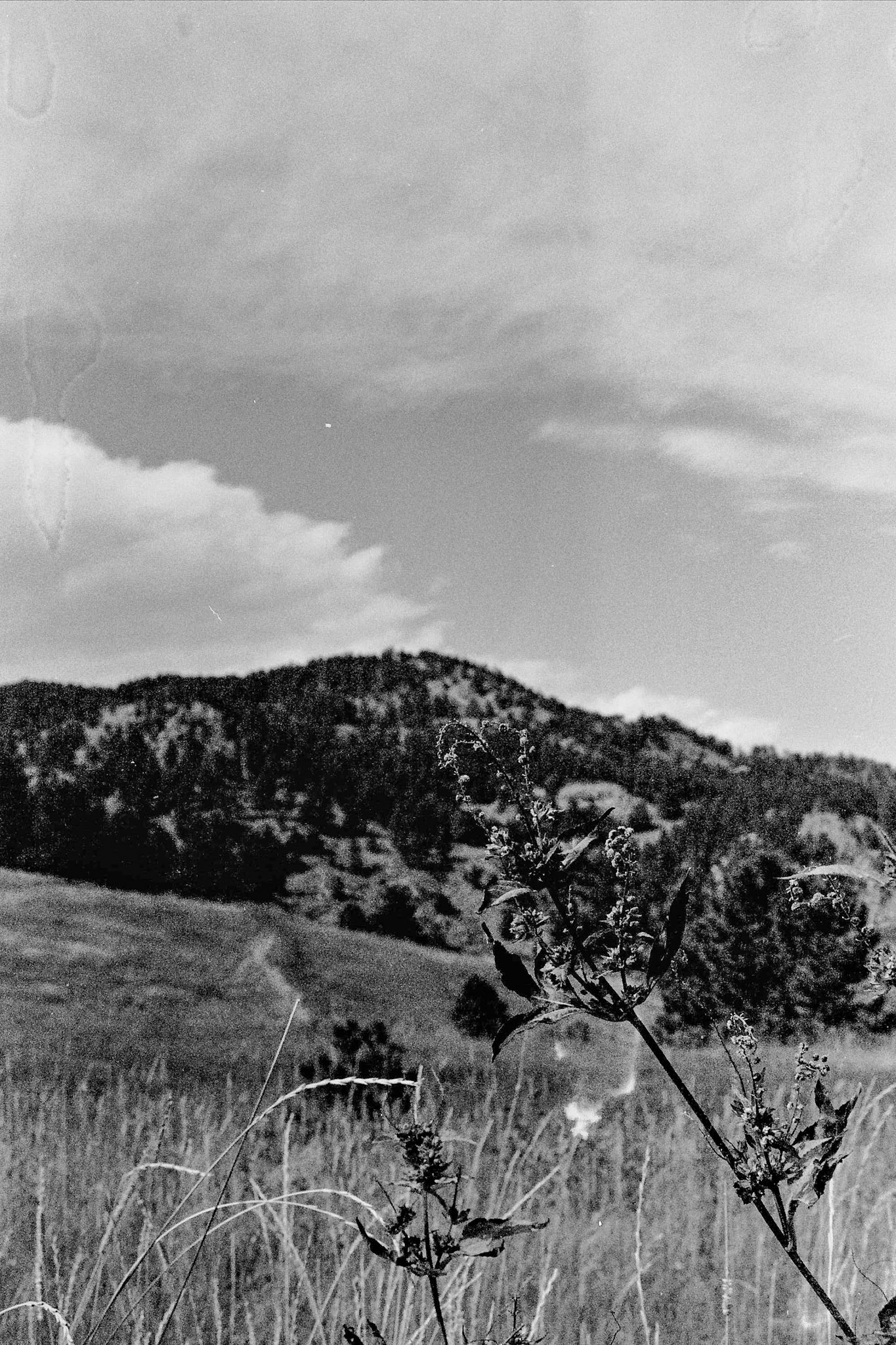 Autosave-File vom d-lab2/3 der AgfaPhoto GmbH