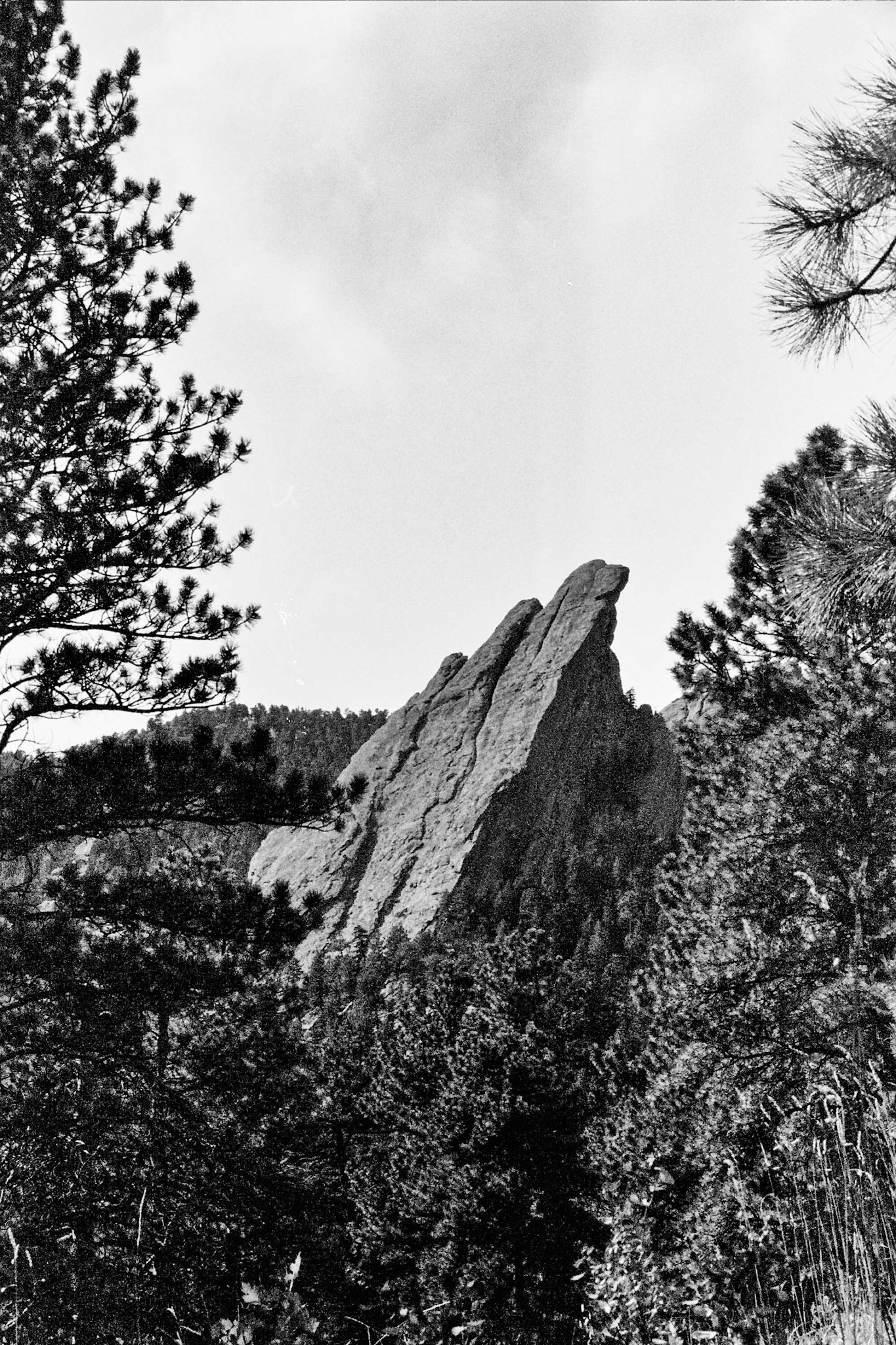 Autosave-File vom d-lab2/3 der AgfaPhoto GmbH