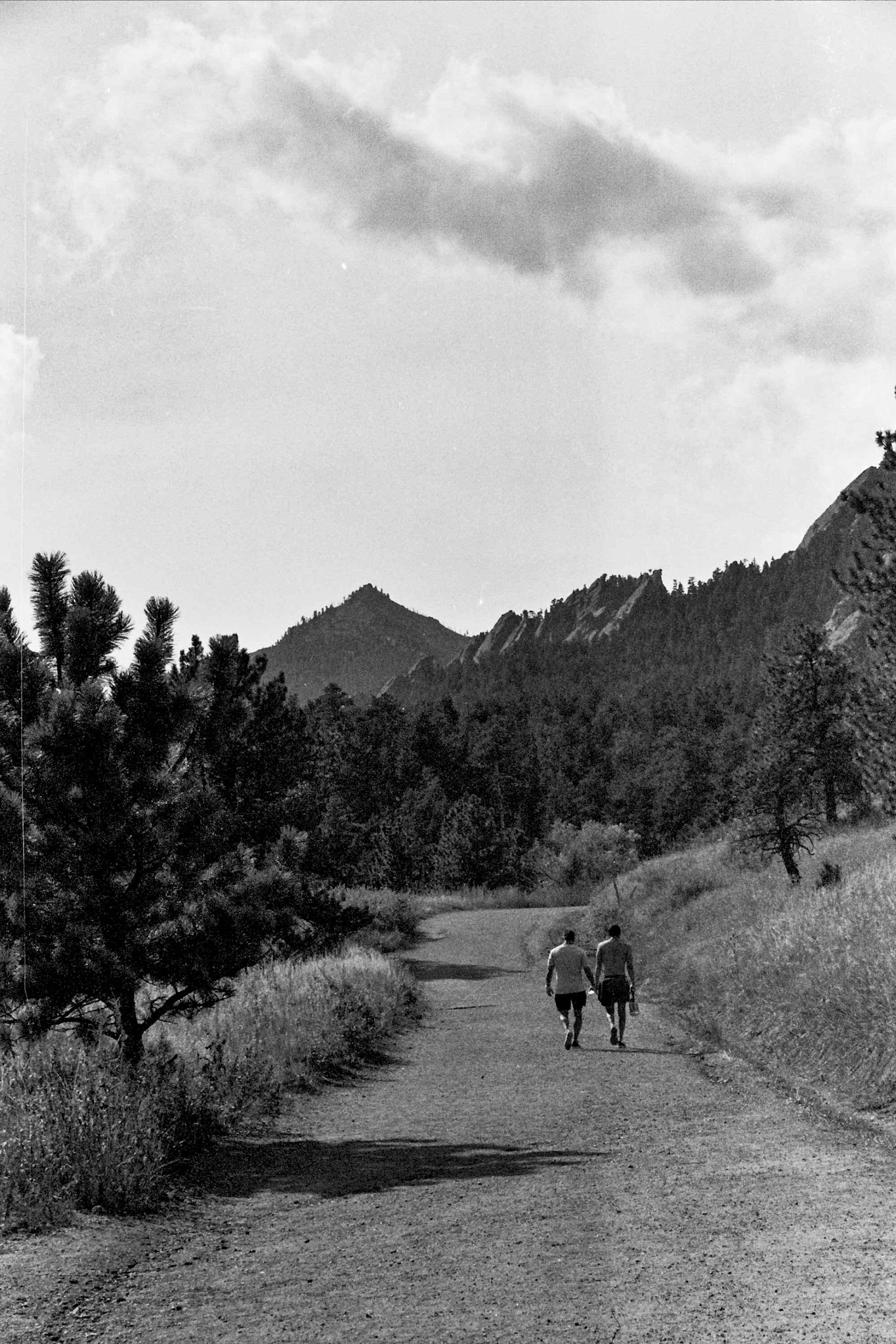 Autosave-File vom d-lab2/3 der AgfaPhoto GmbH