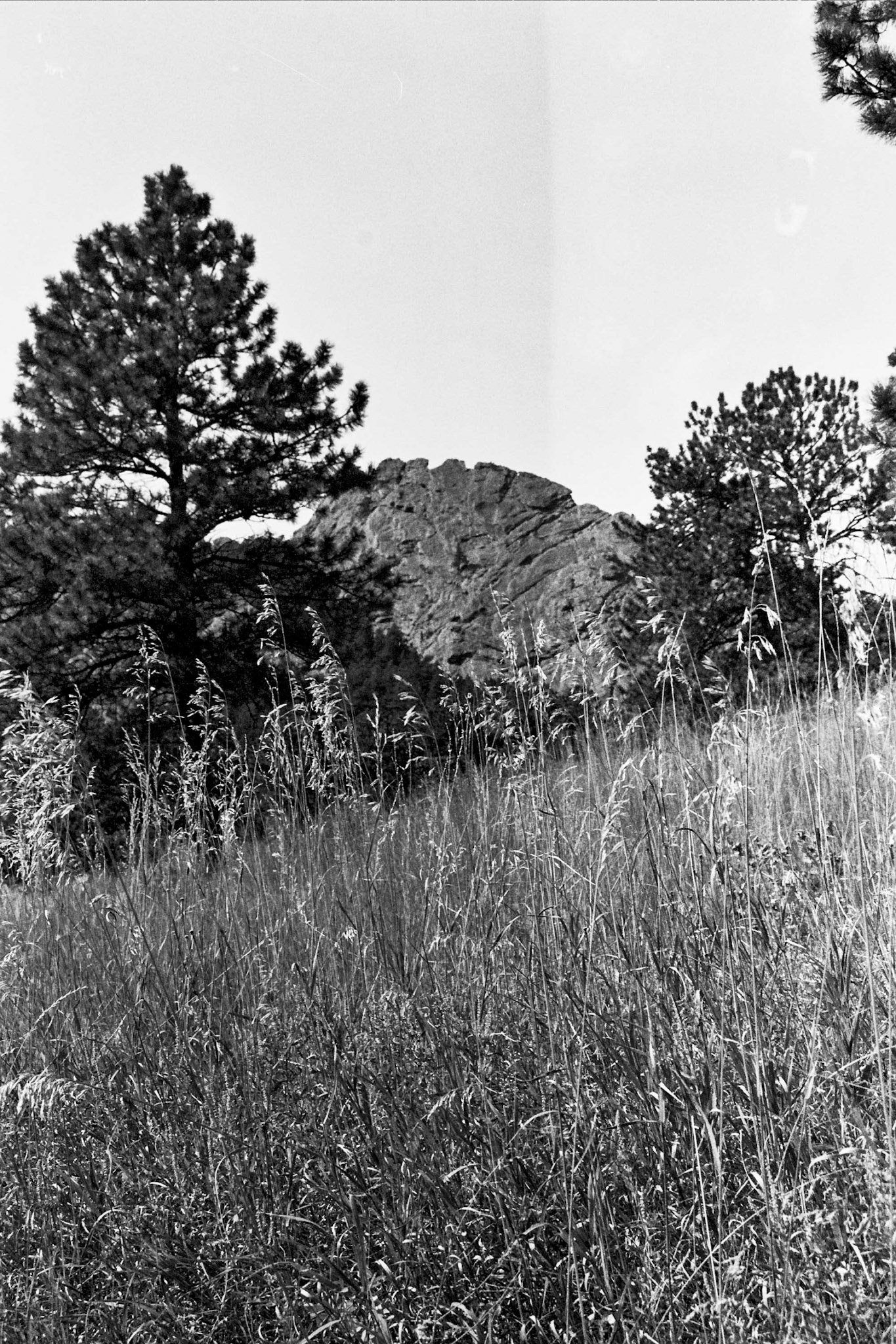 Autosave-File vom d-lab2/3 der AgfaPhoto GmbH