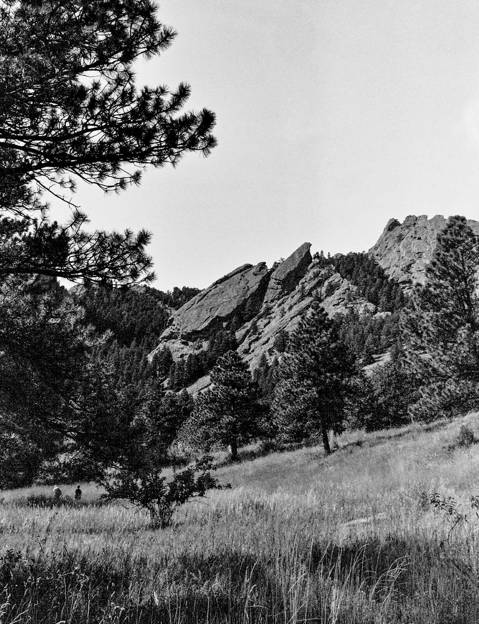 Autosave-File vom d-lab2/3 der AgfaPhoto GmbH