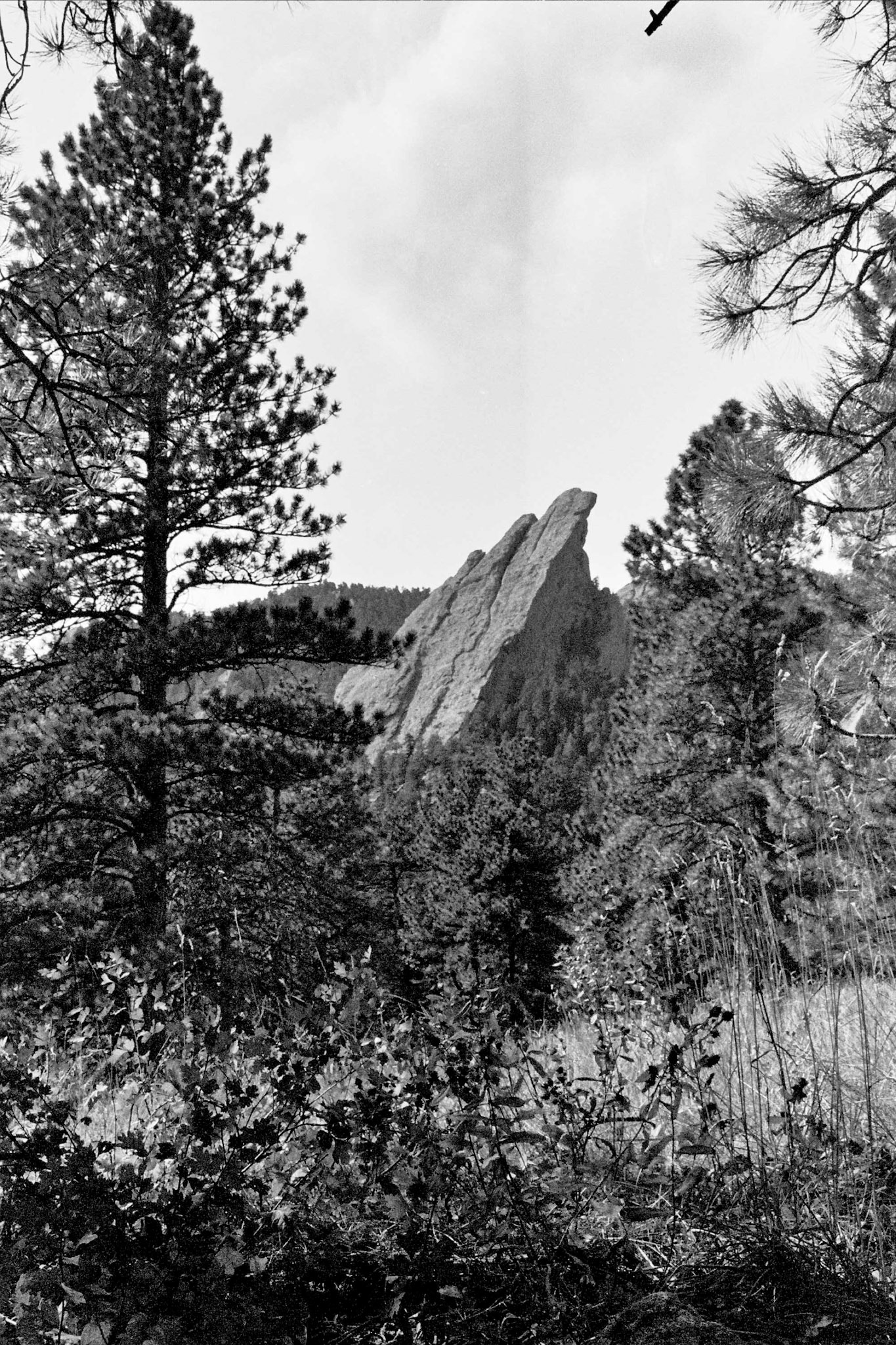 Autosave-File vom d-lab2/3 der AgfaPhoto GmbH