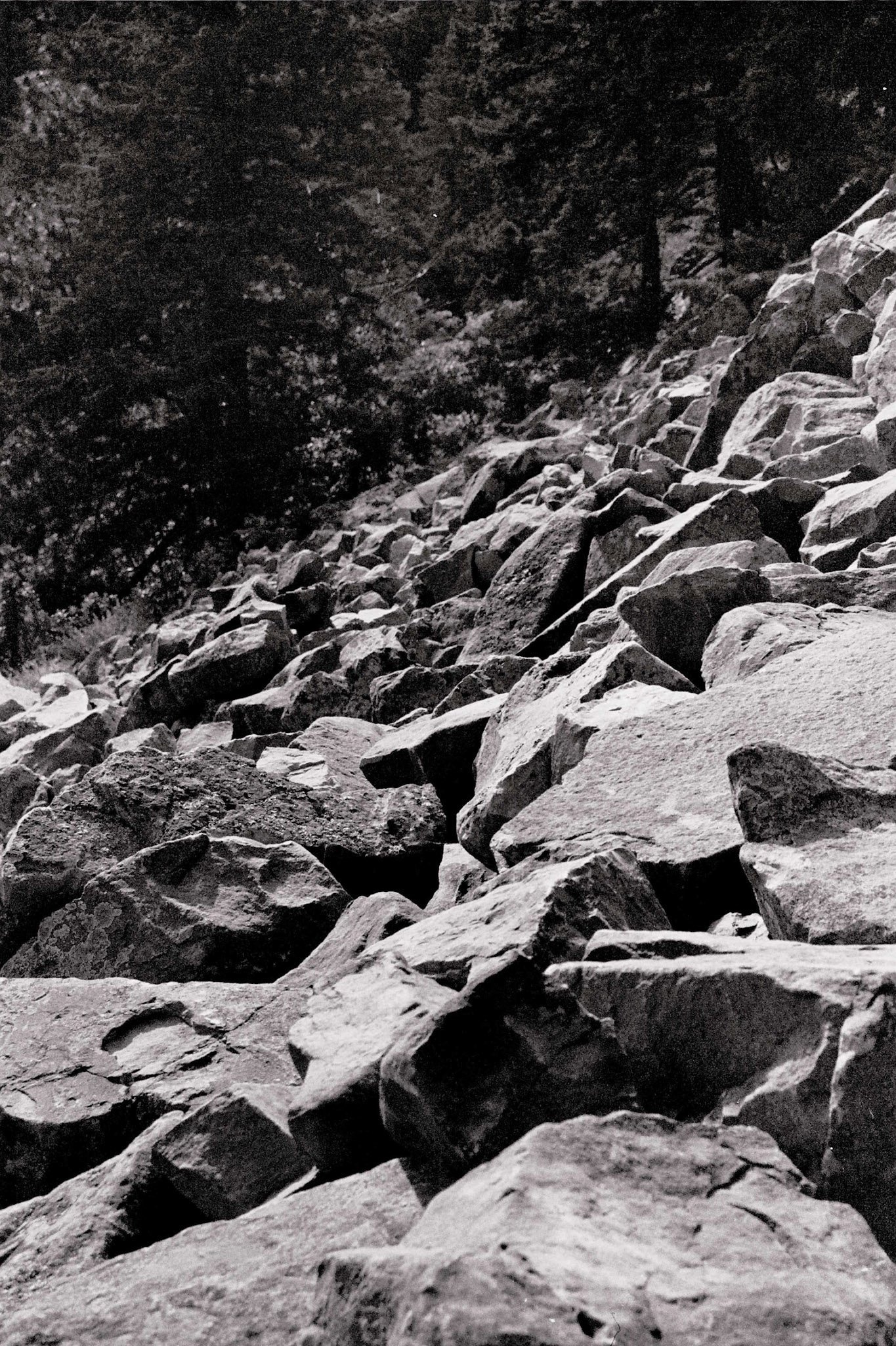 Autosave-File vom d-lab2/3 der AgfaPhoto GmbH