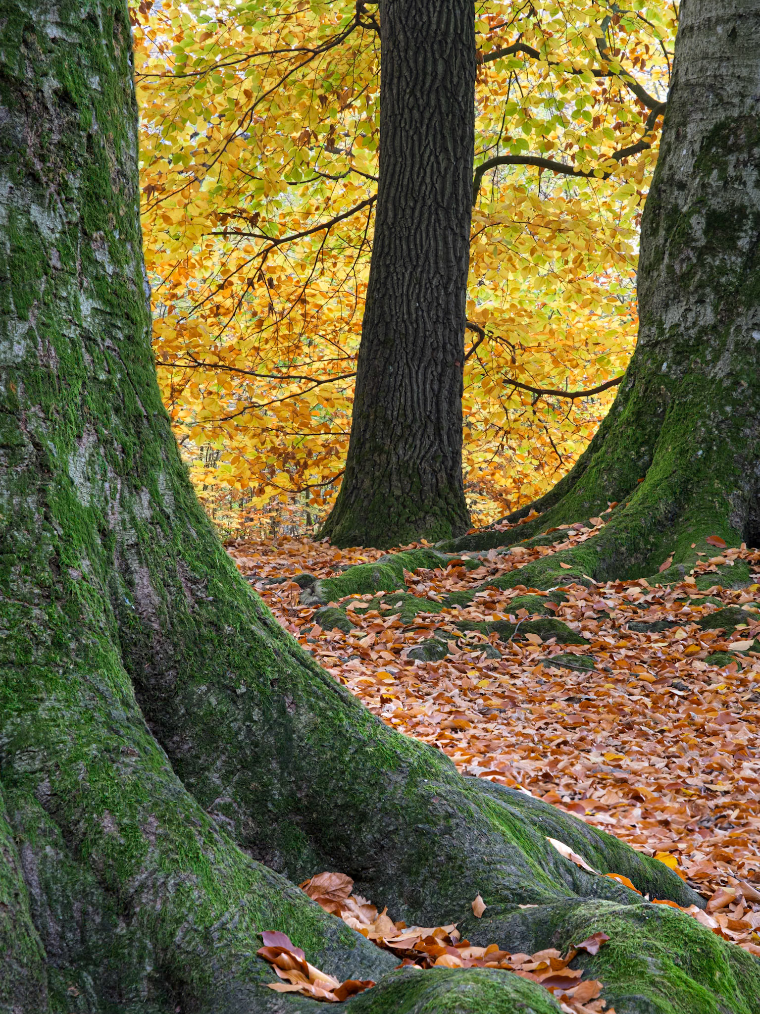 Védők között 2024