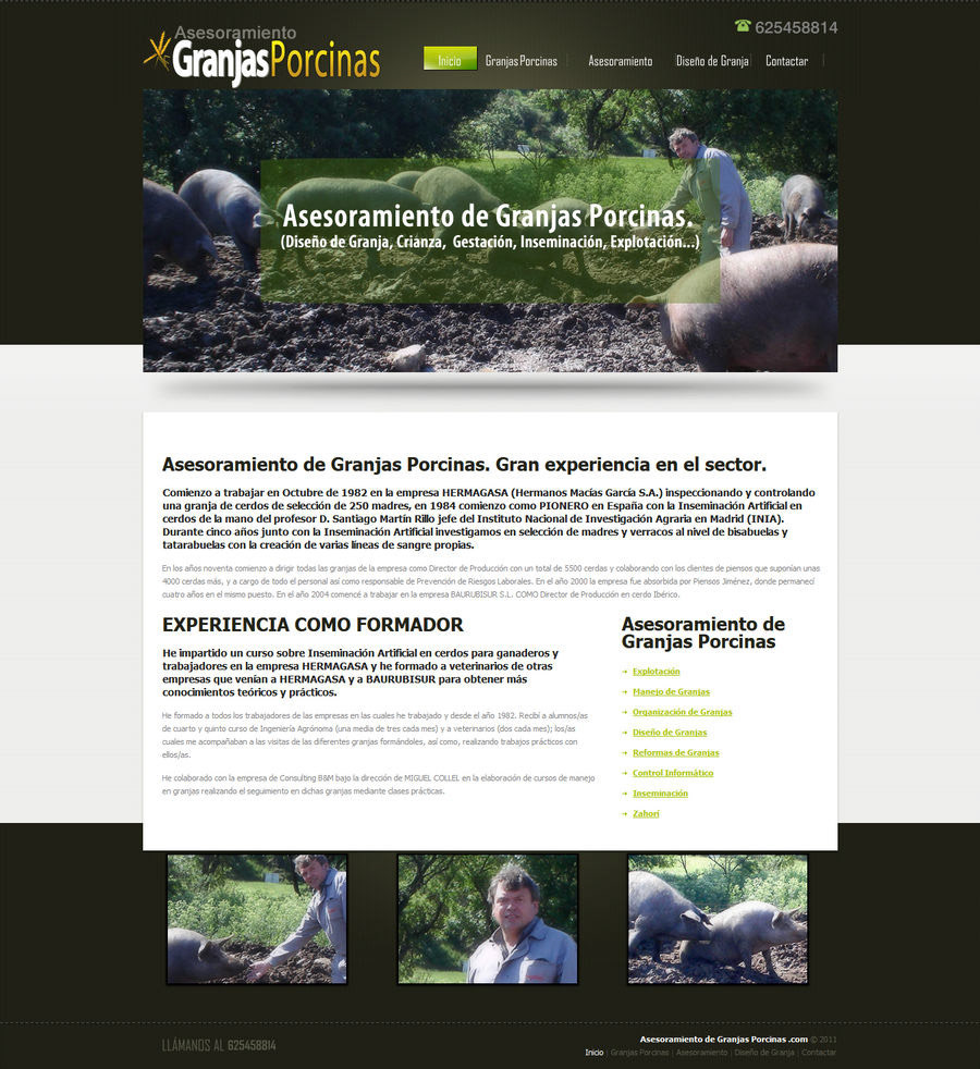 Website Design and Development example