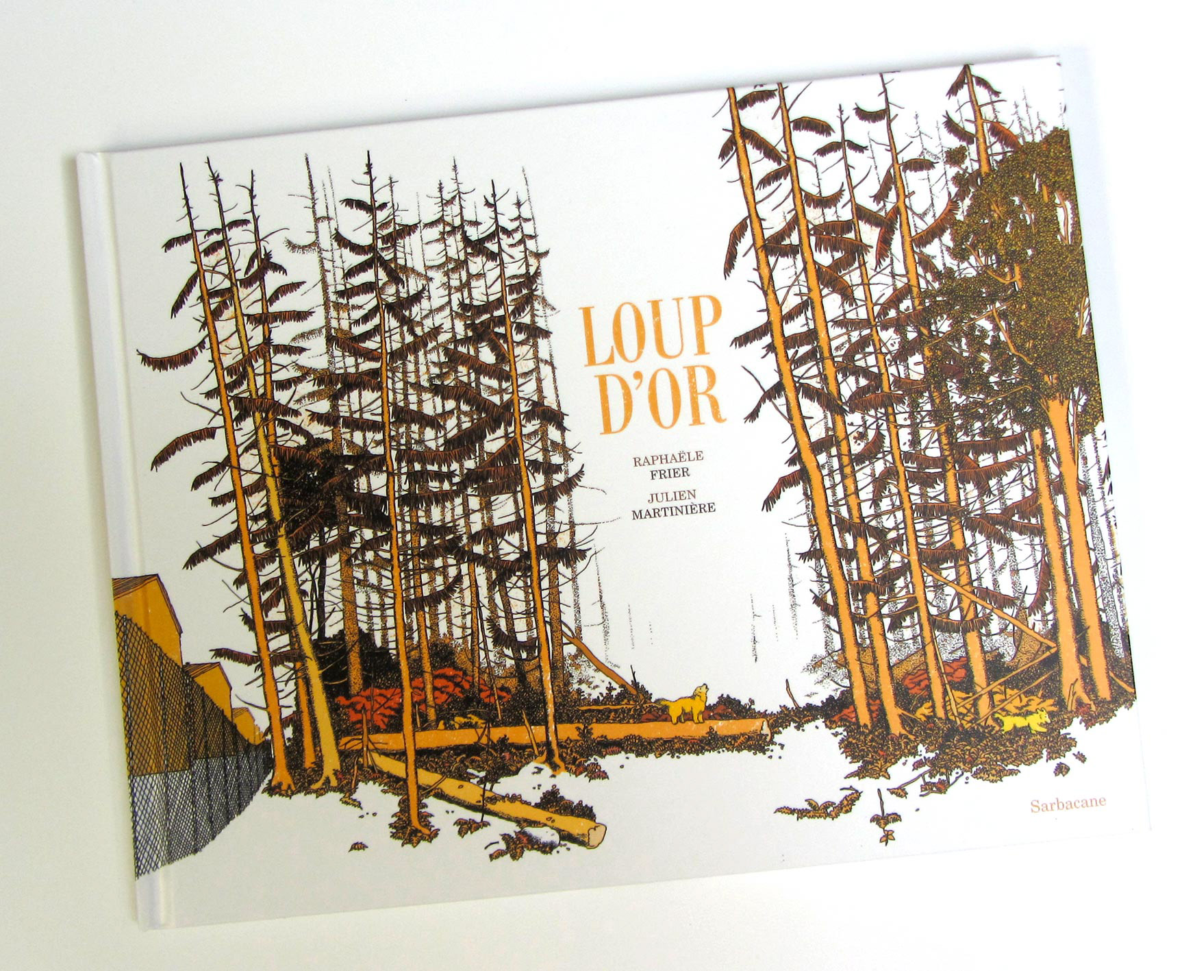 Loup d'or | Texte de Raphële Frier | 29,7 x 23 cm | cartonné | éditions sarbacane | 2020 | ean : 9782377314096