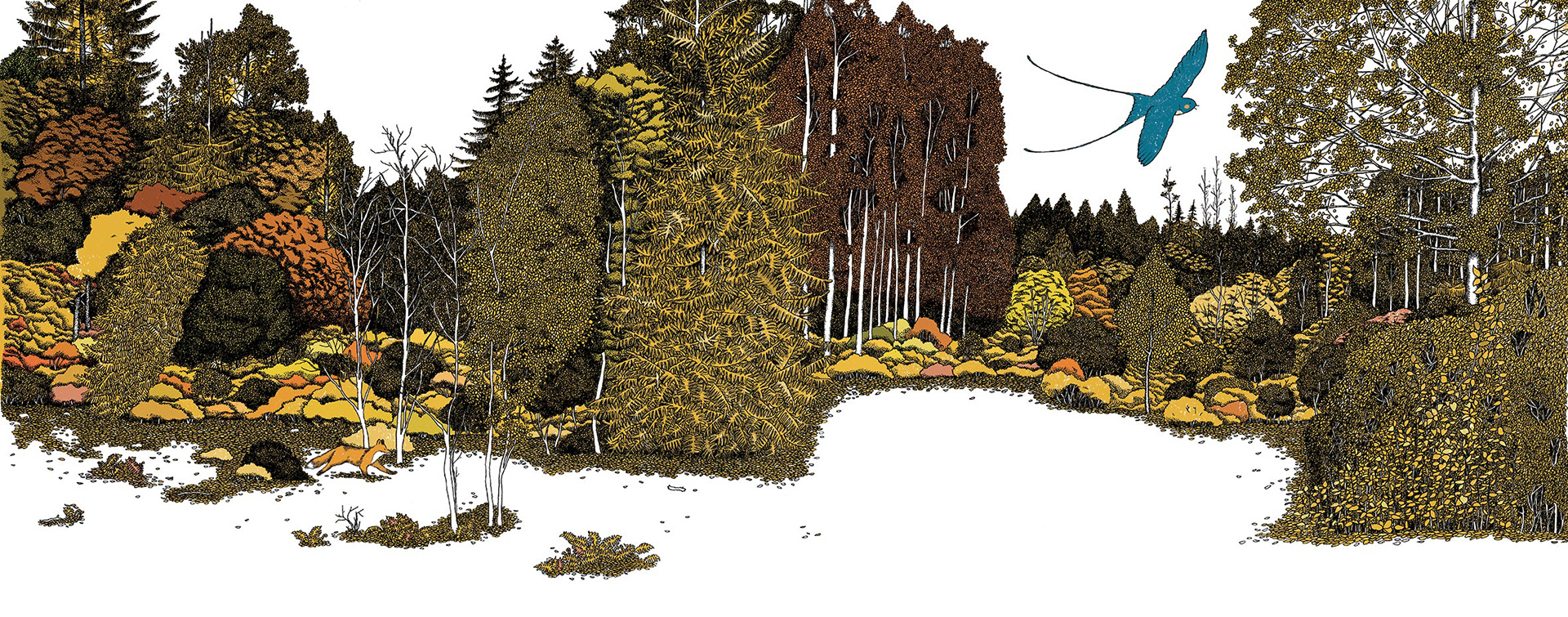 Loup d'or |  éditions sarbacane | 2020