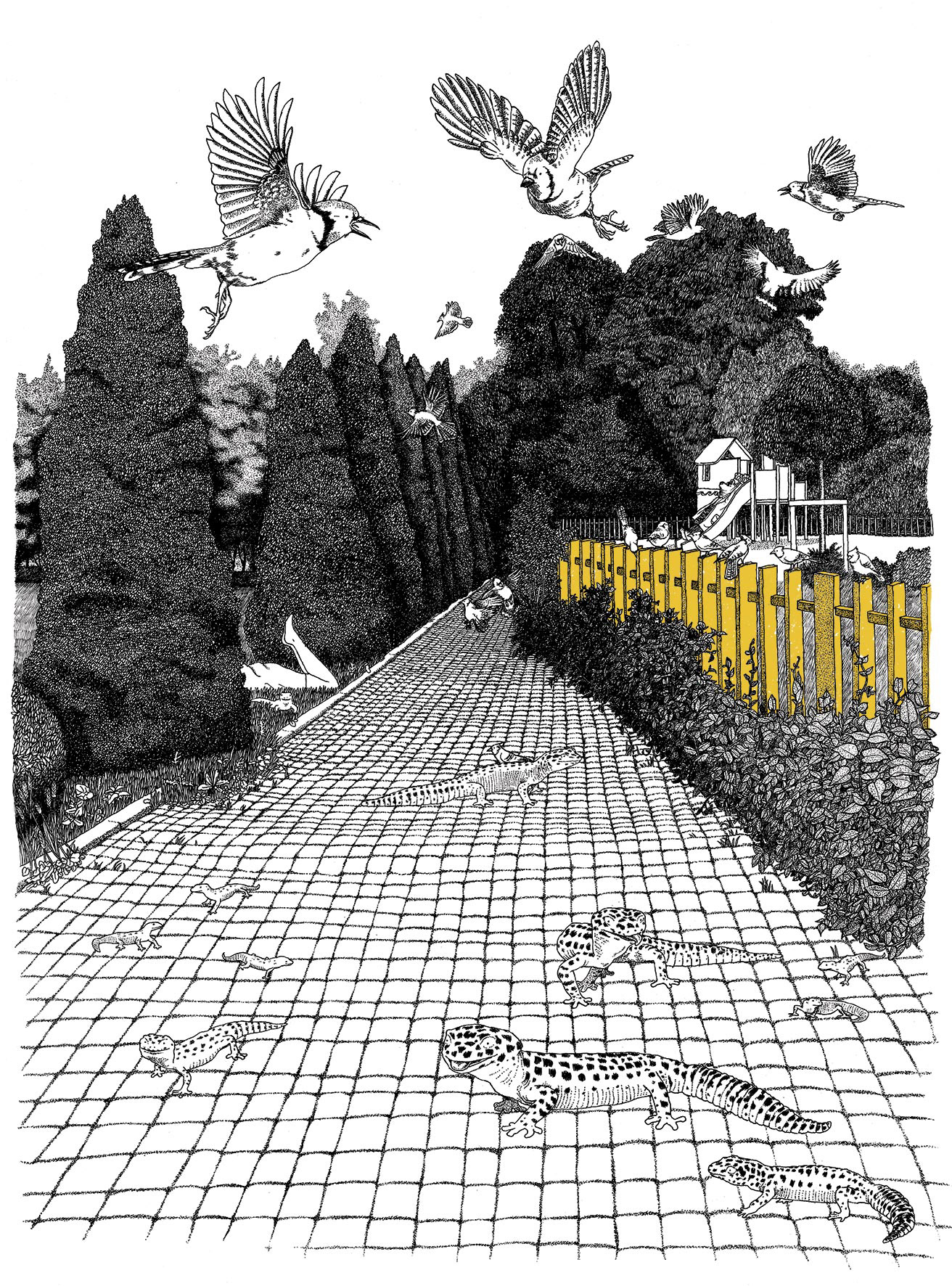 Macadam |  Le jardin public | 2020