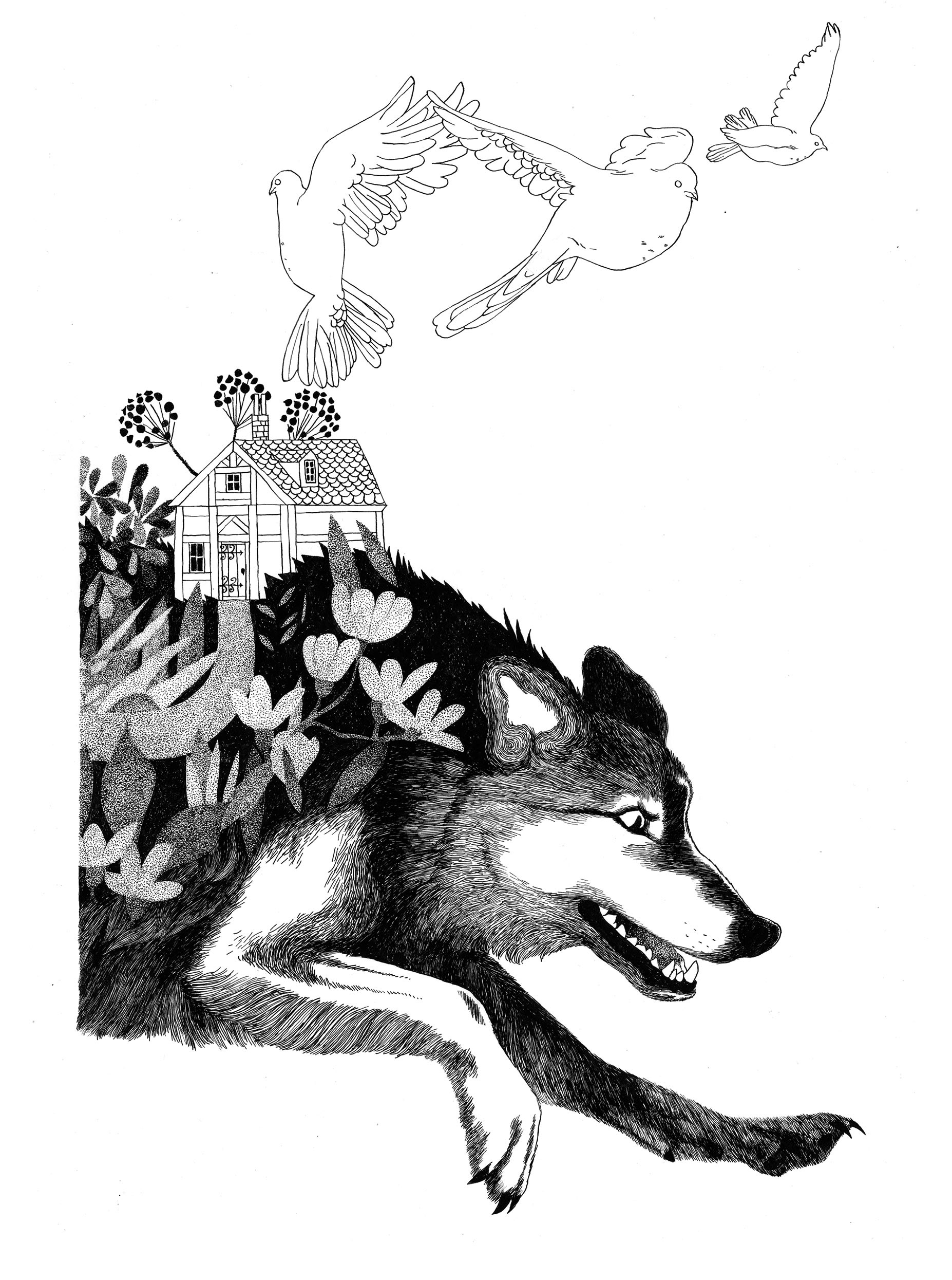 Le petit chaperon rouge | 2013