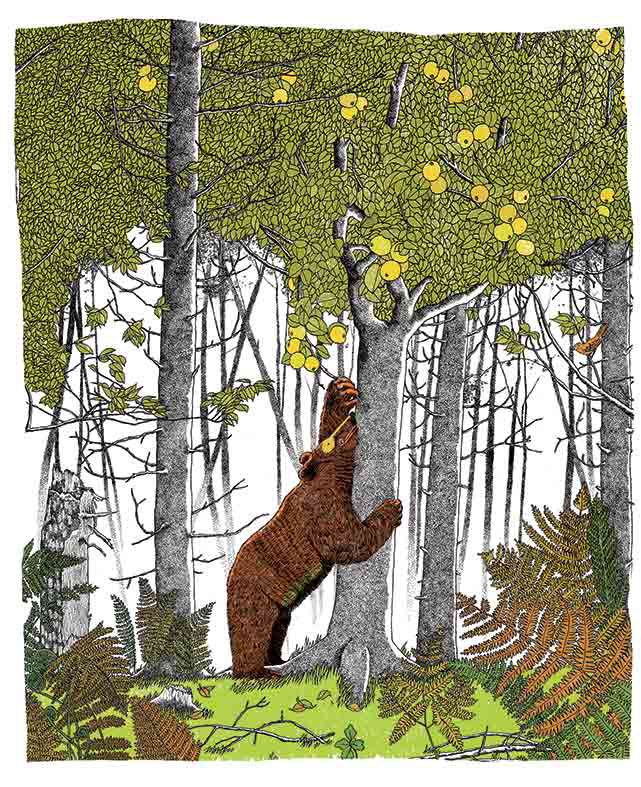 Le tracas de Blaise | éditions de l'atelier du poisson soluble  | 2017