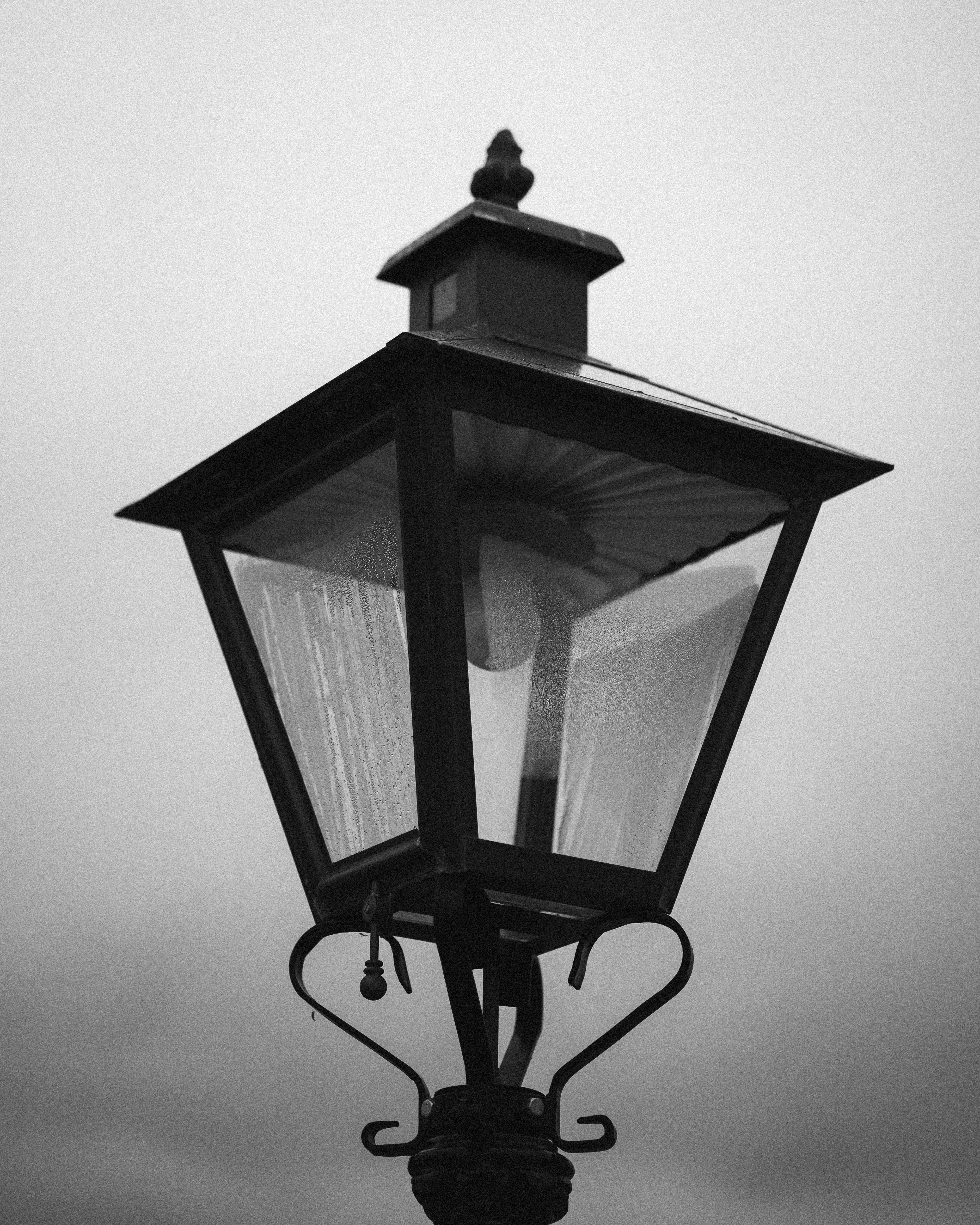 The Misty Light - Leiden