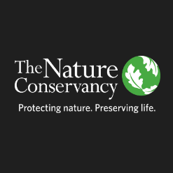 Elephant Photo Published