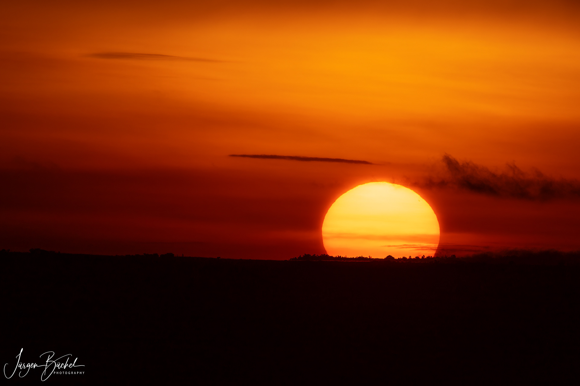 Olare Motorogi Conservancy, Kenya