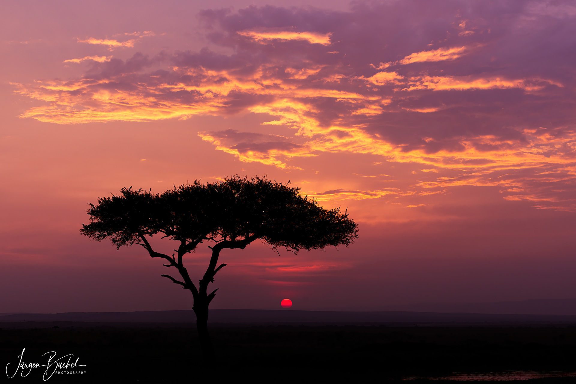 Olare Motorogi Conservancy, Kenya