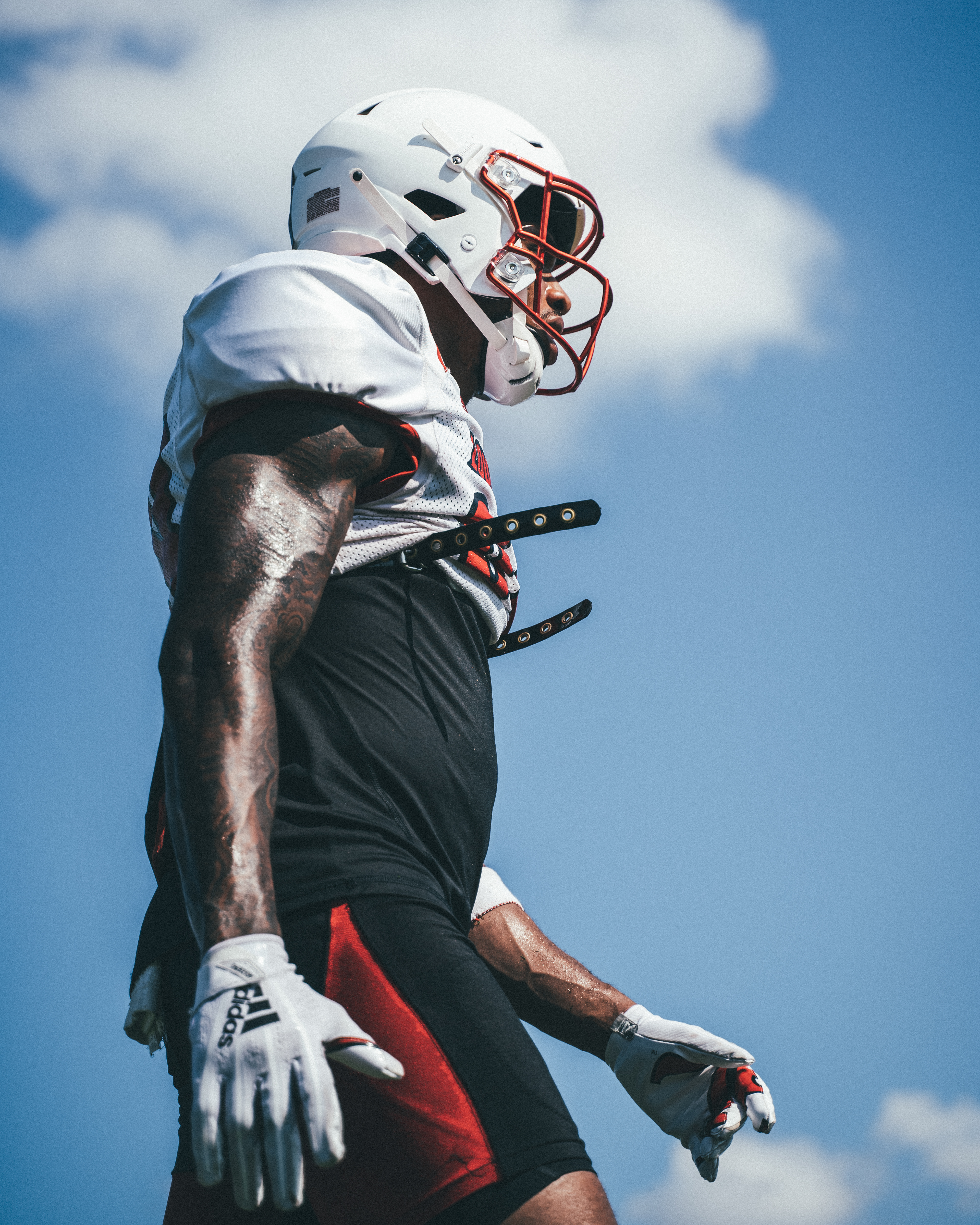 Training | Louisville Cardinals
