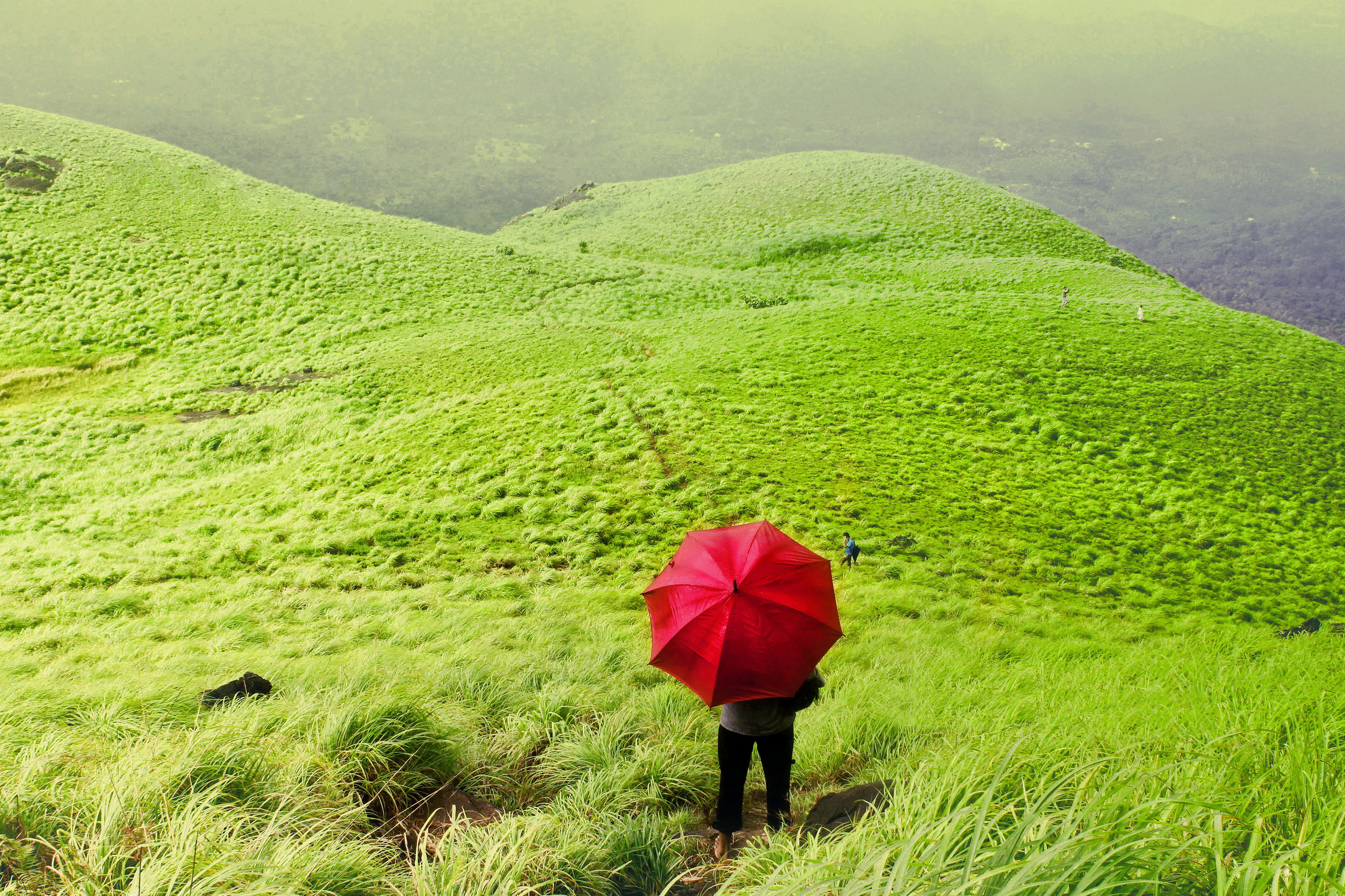 go green