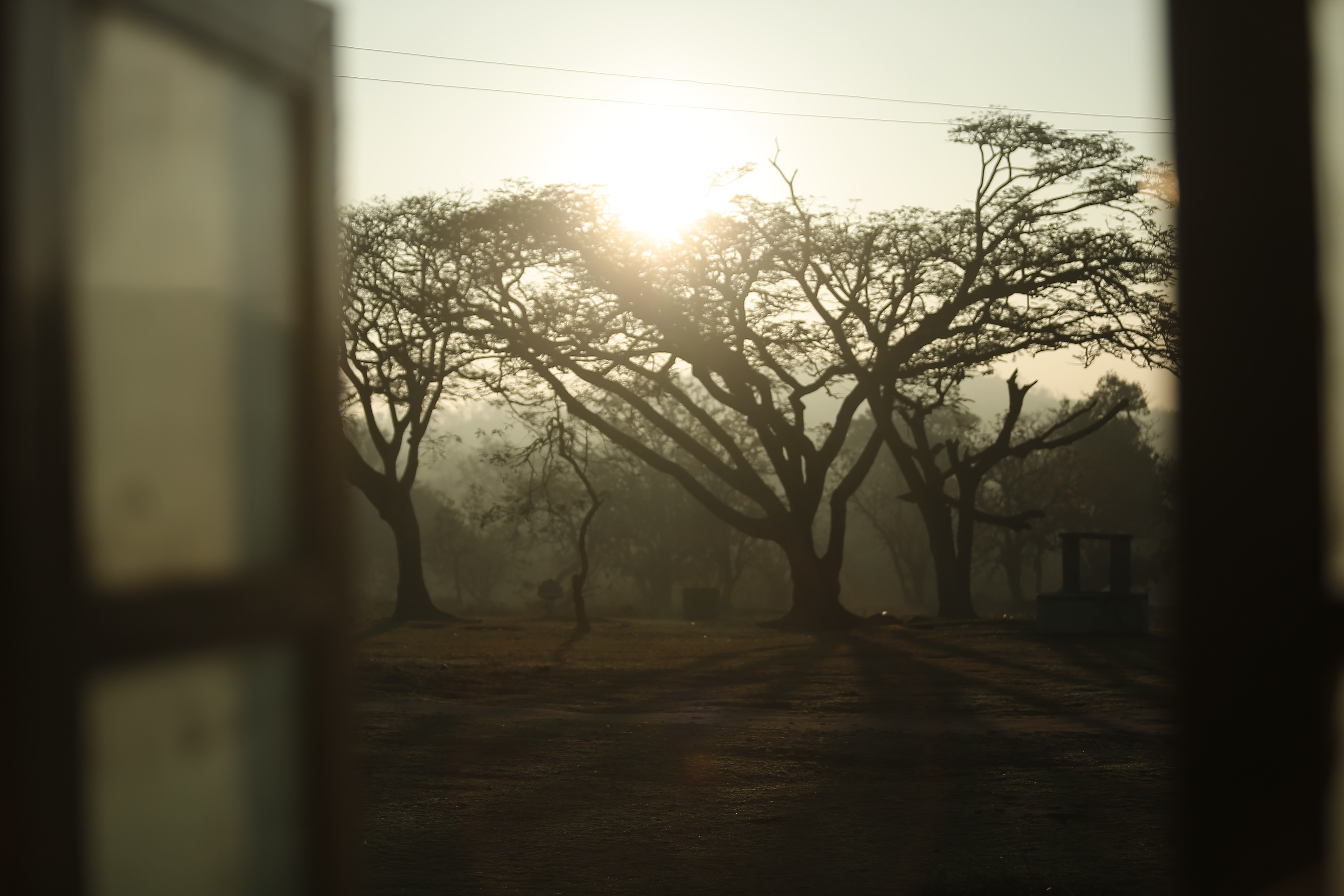 Dawn of the day  Have a gander through the branches of trees, like an ephemera the glimmer of sun entered into my room with the warmth of an ecstasy