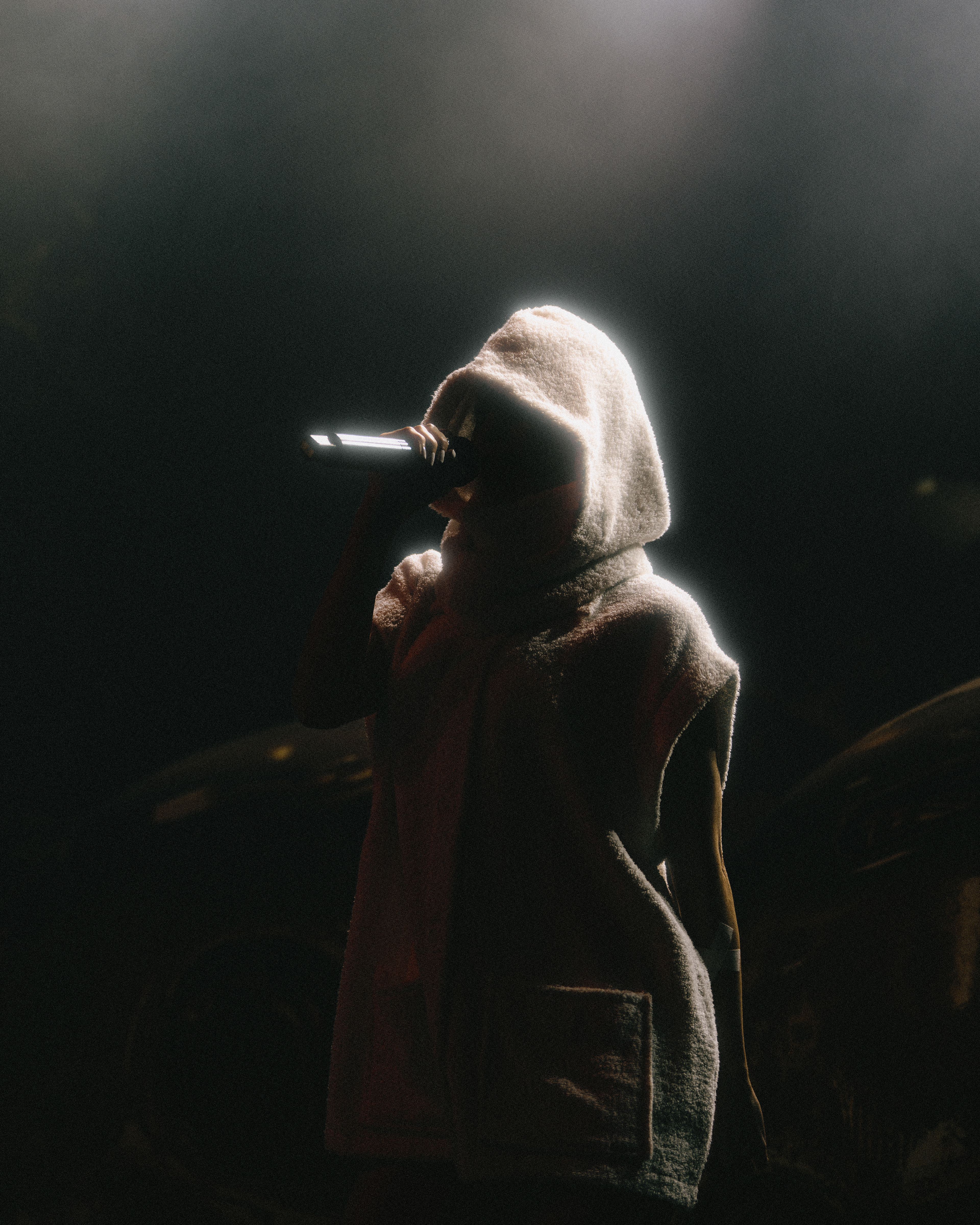 DIE ANTWOORD