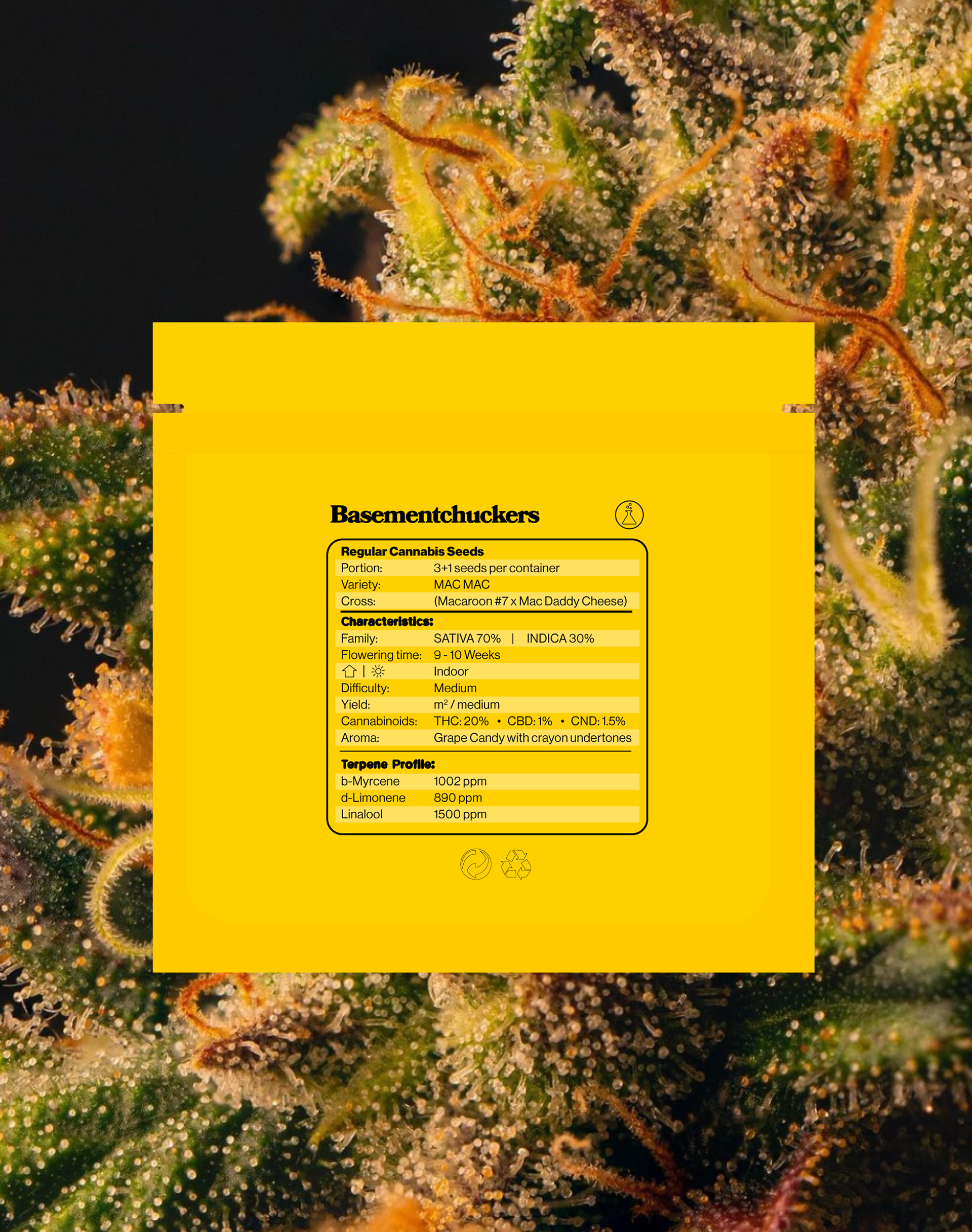 Basementchuckers Packaging