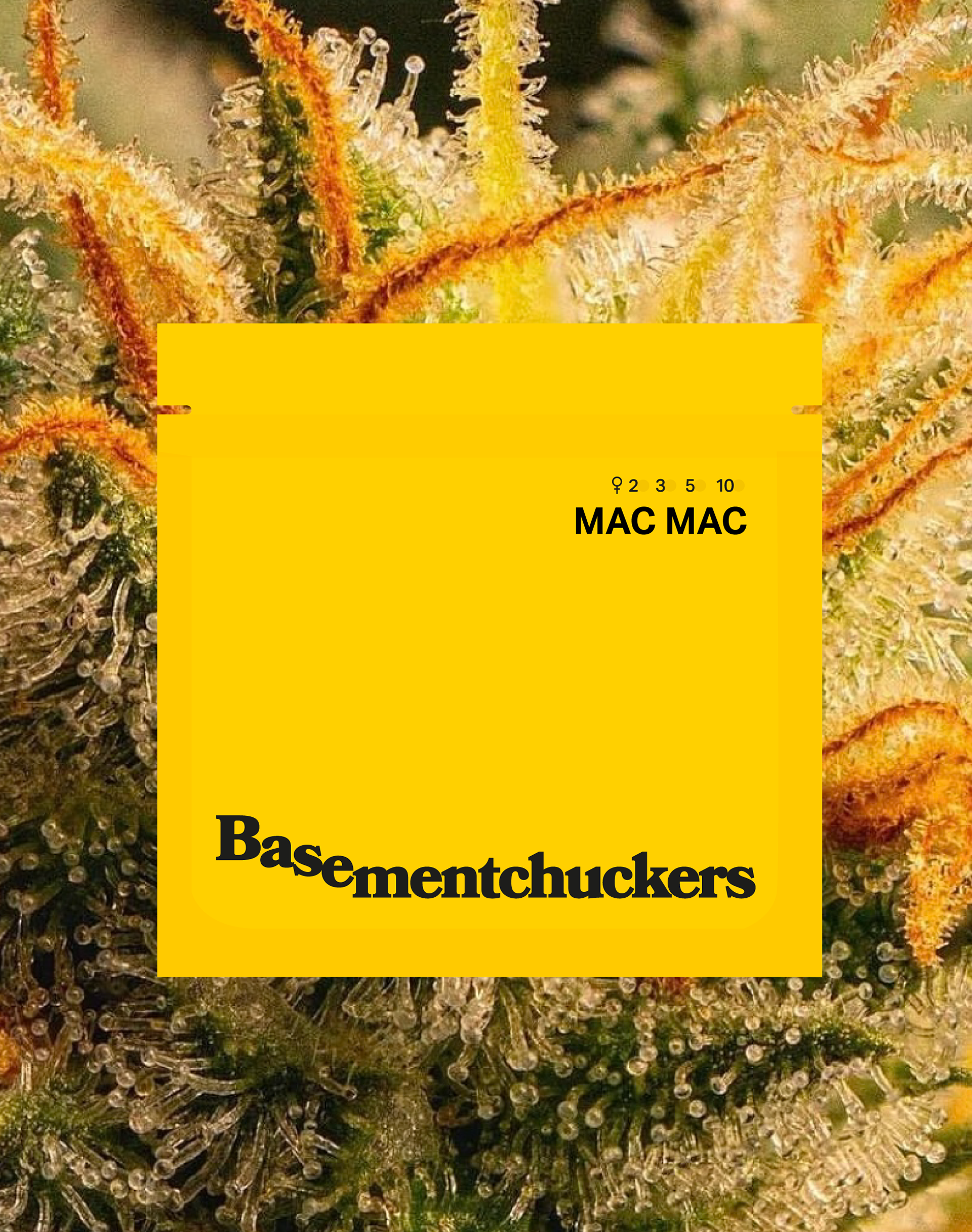 Basementchuckers Packaging