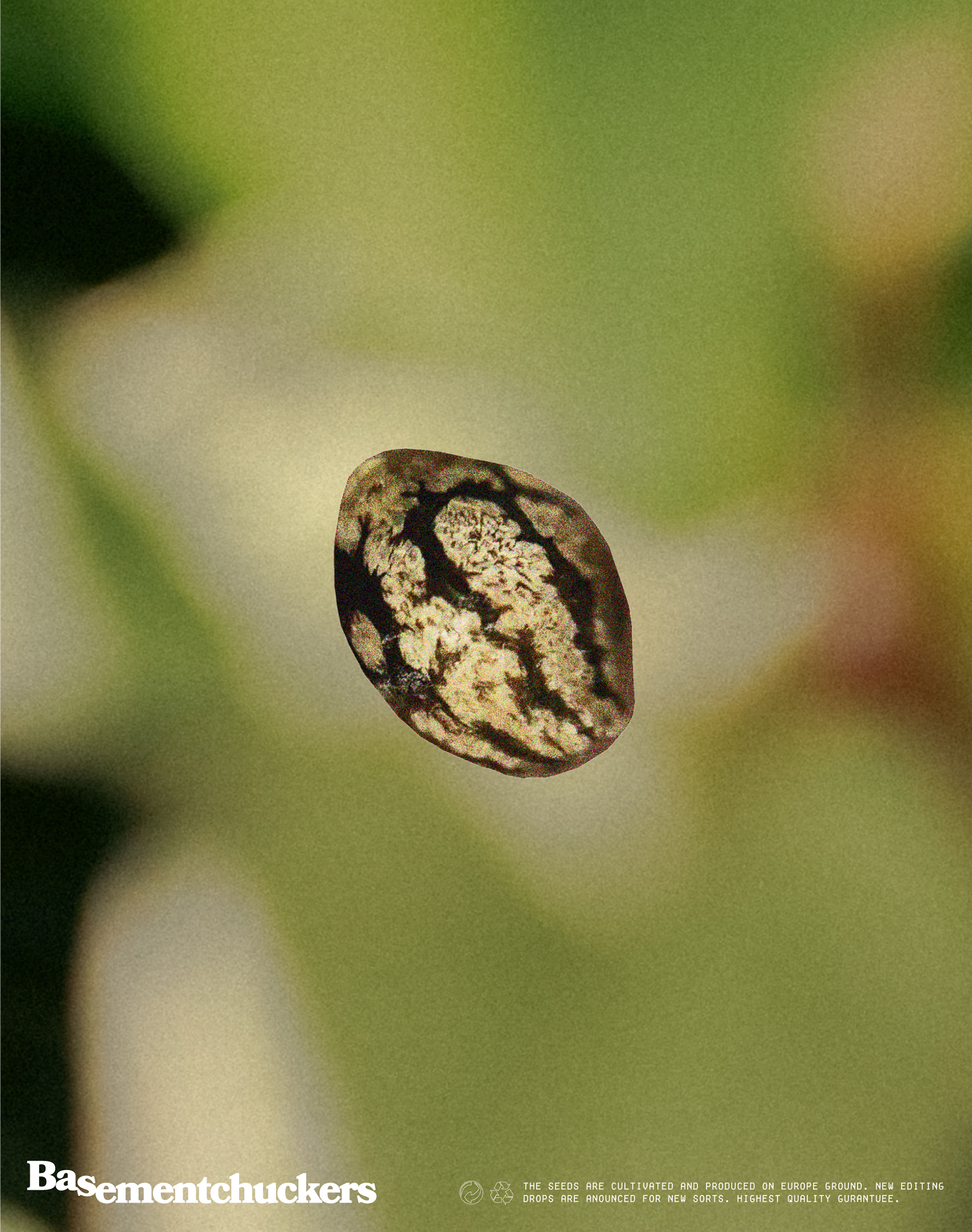 Basementchuckers Corporate Identity