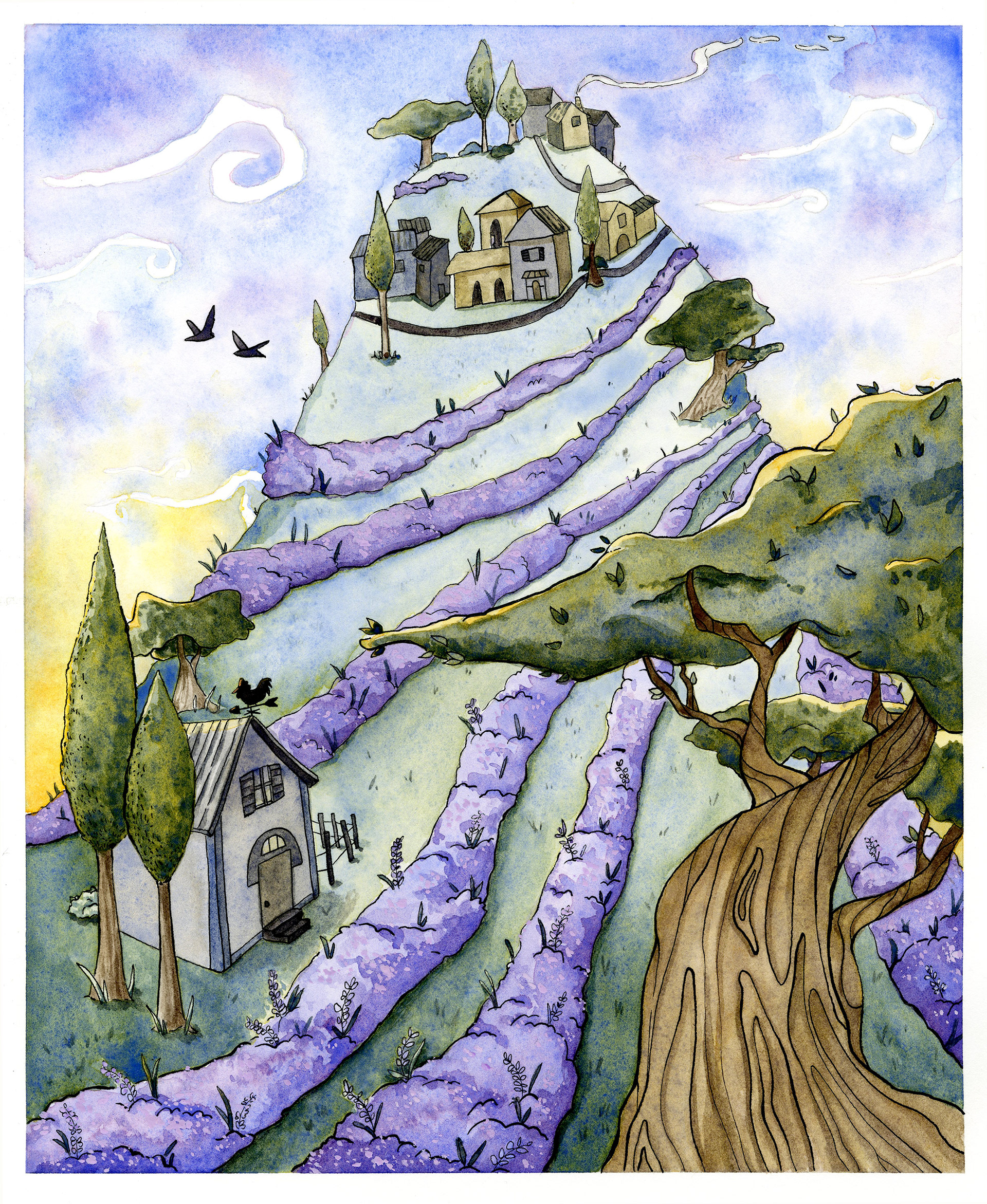 French Lavender Fields