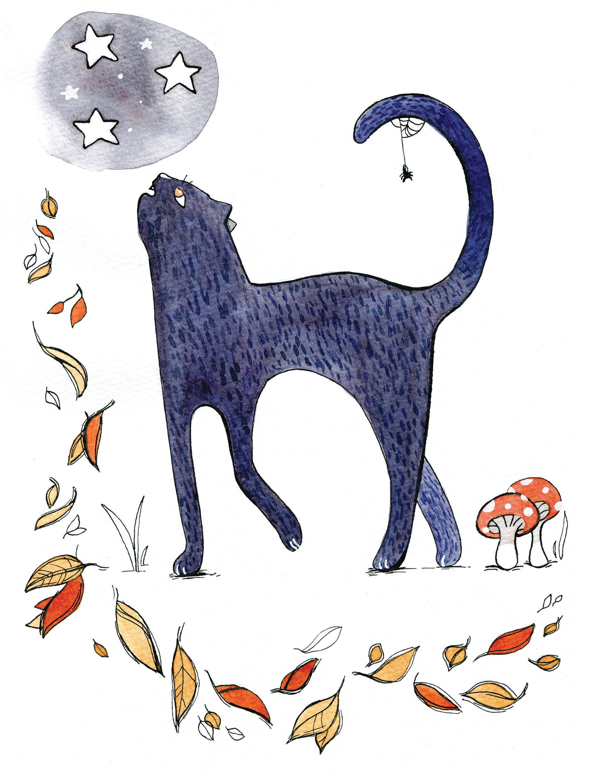 Fall Kitty Spot Illustration