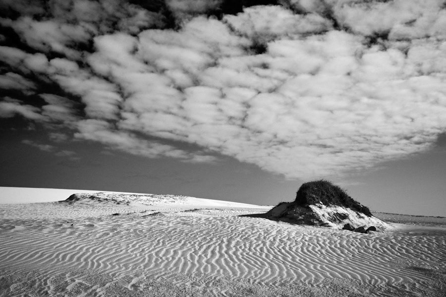 Canary Islands
