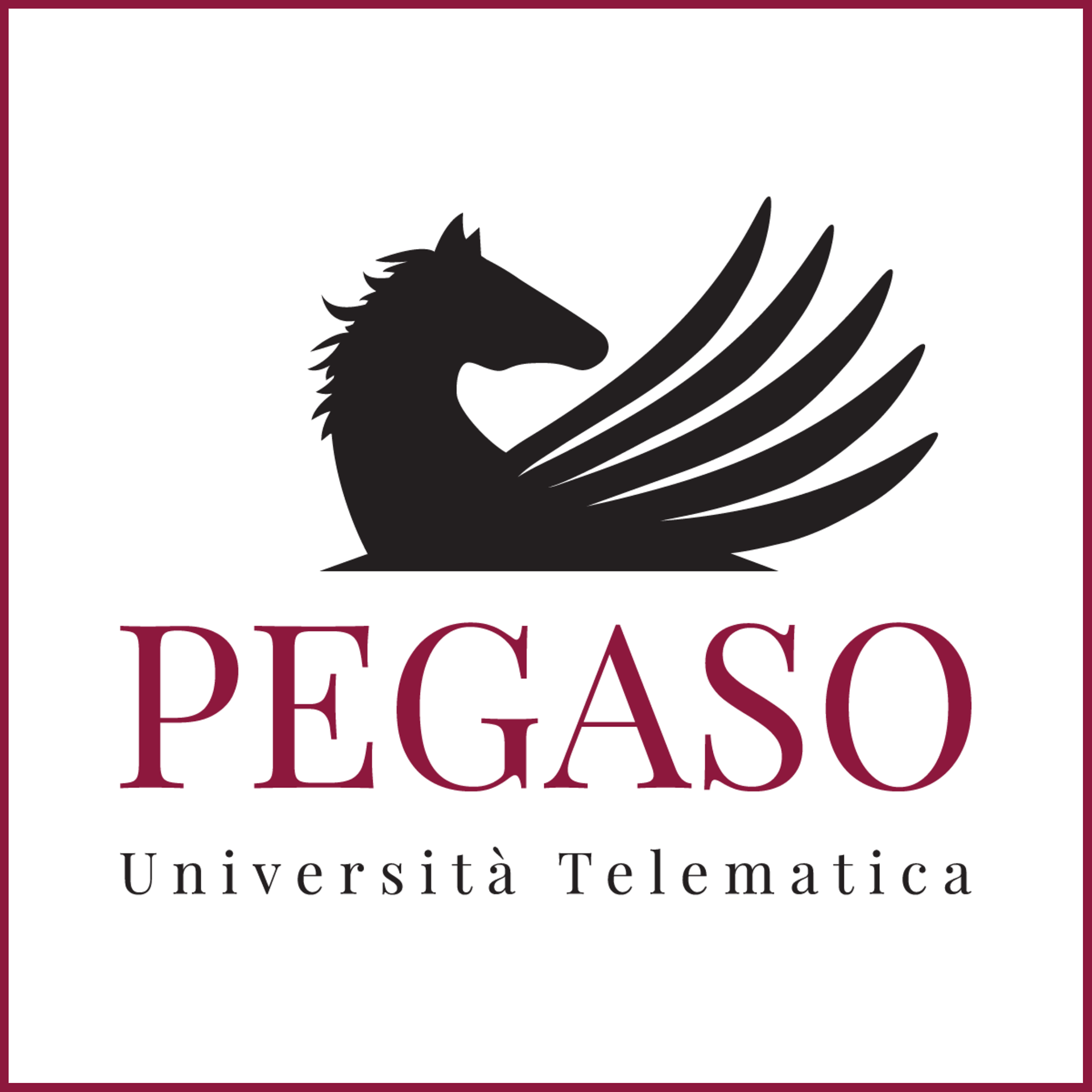 Università Telematica Pegaso